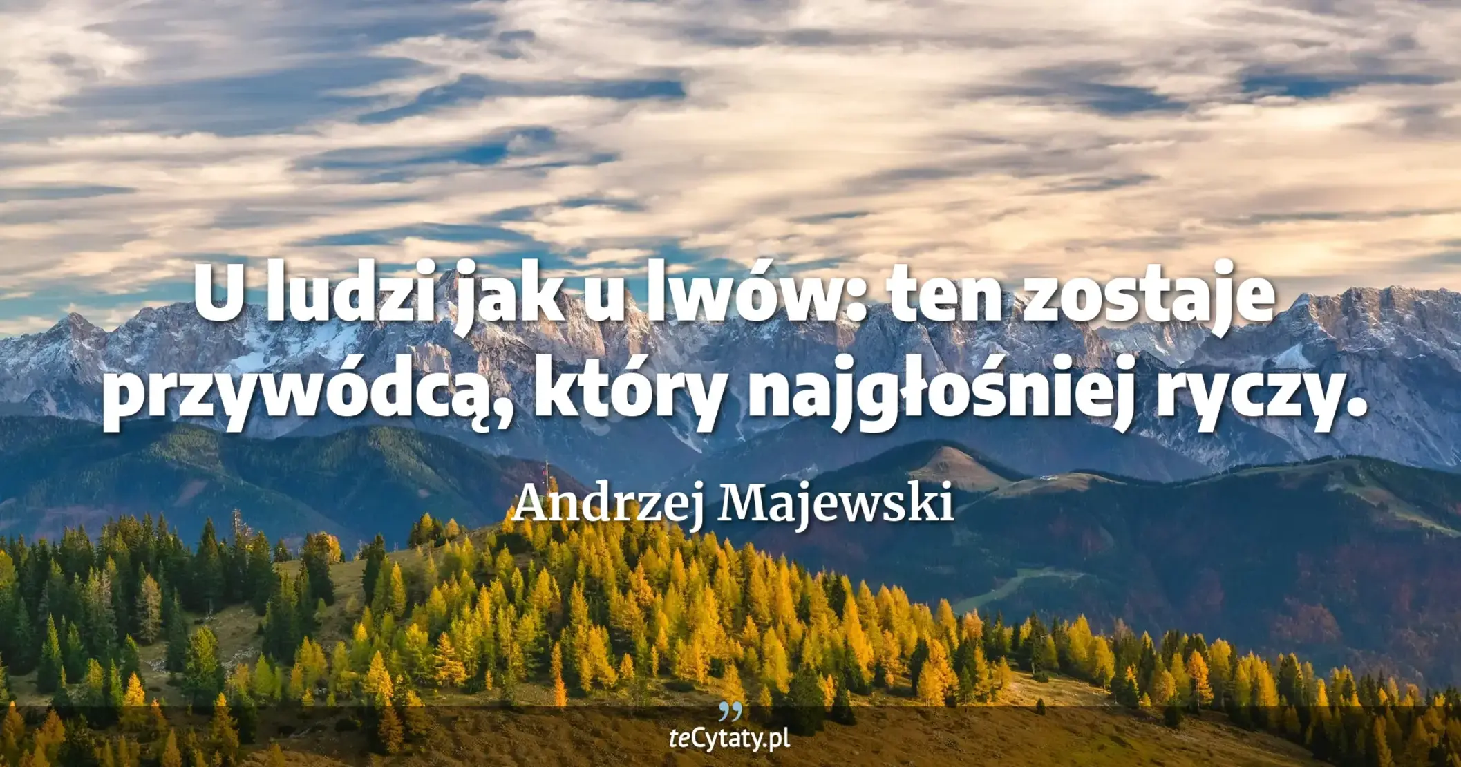 U ludzi jak u lwów: ten zostaje przywódcą, który najgłośniej ryczy. - Andrzej Majewski