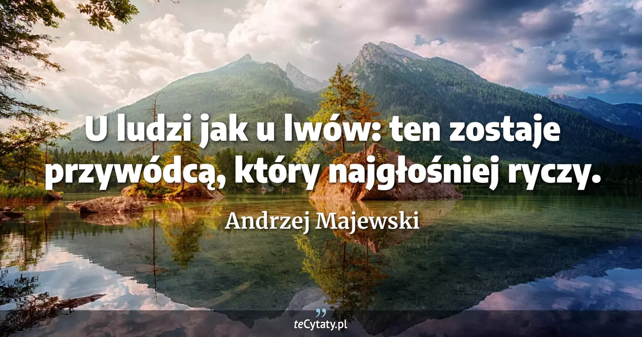 U ludzi jak u lwów: ten zostaje przywódcą, który najgłośniej ryczy. - Andrzej Majewski