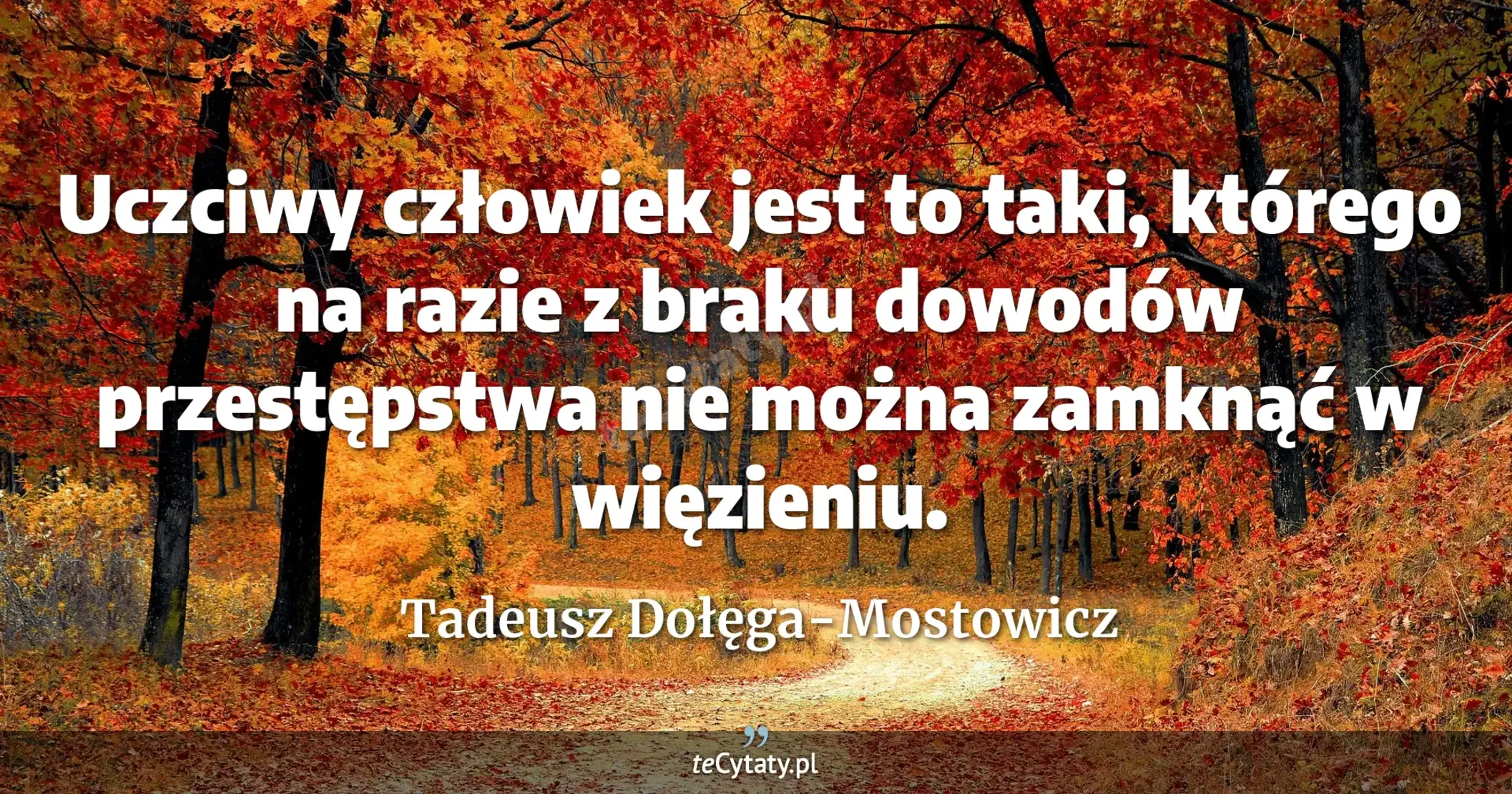 Uczciwy człowiek jest to taki, którego na razie z braku dowodów przestępstwa nie można zamknąć w więzieniu. - Tadeusz Dołęga-Mostowicz