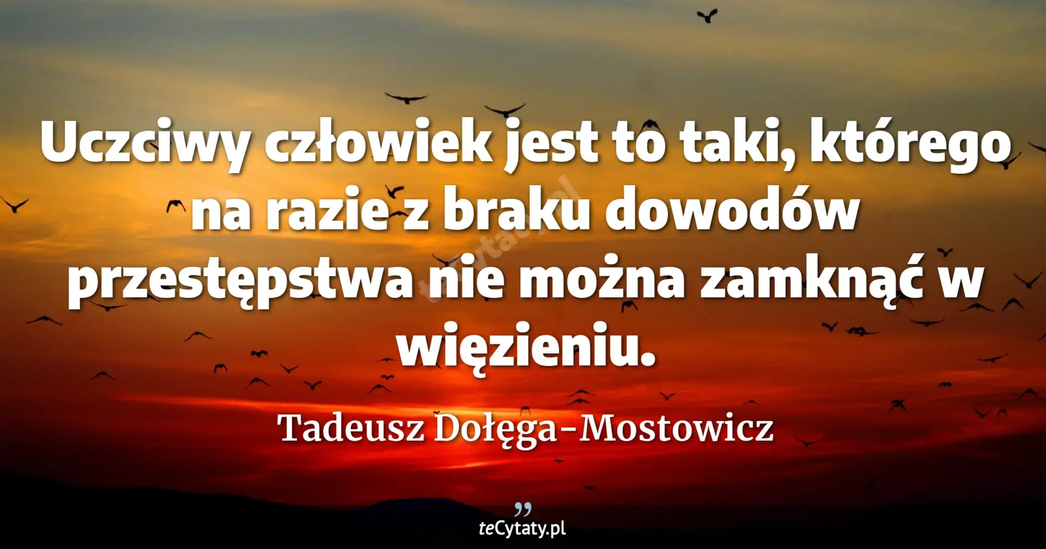 Uczciwy człowiek jest to taki, którego na razie z braku dowodów przestępstwa nie można zamknąć w więzieniu. - Tadeusz Dołęga-Mostowicz