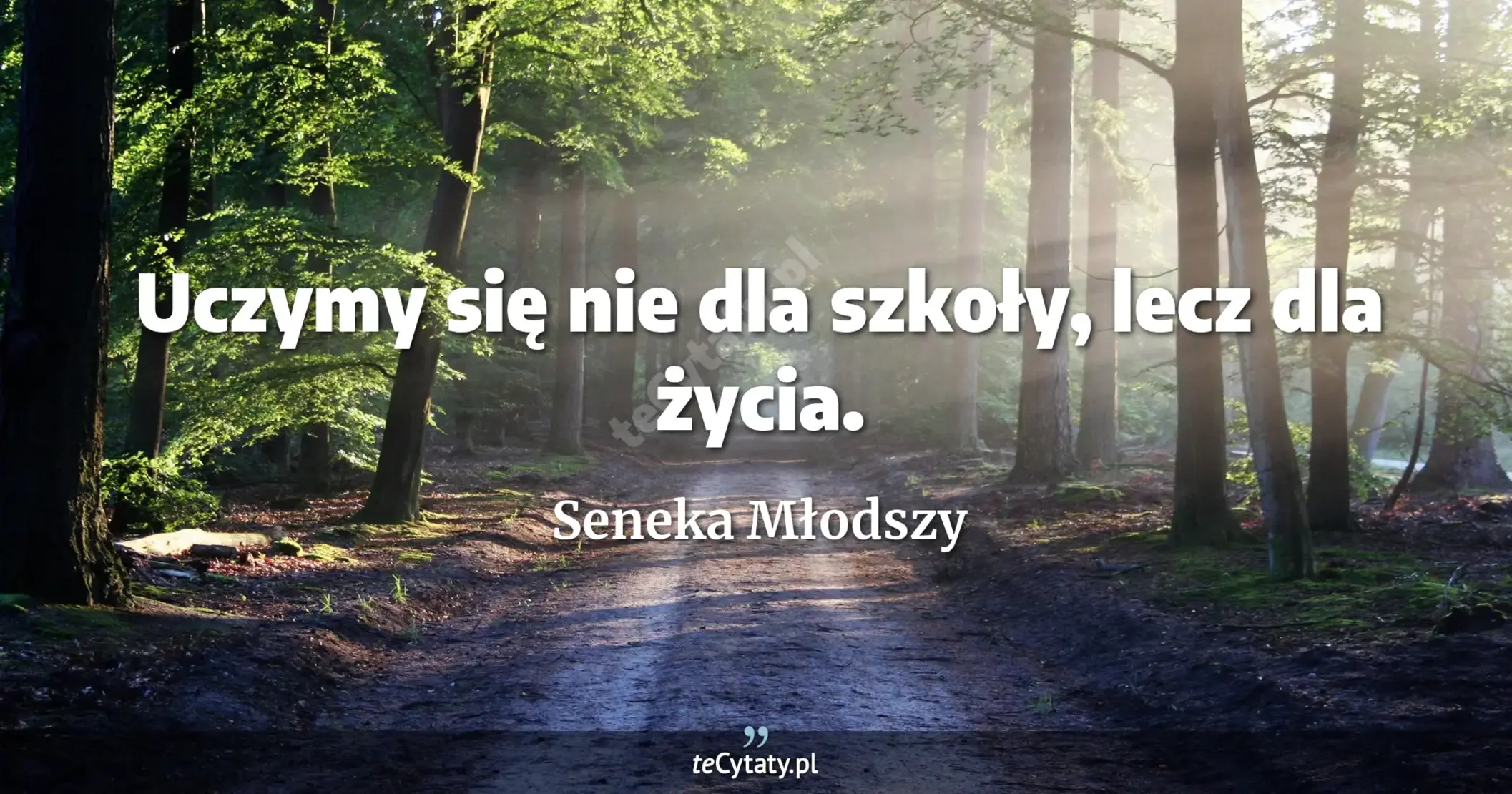 Uczymy się nie dla szkoły, lecz dla życia. - Seneka Młodszy