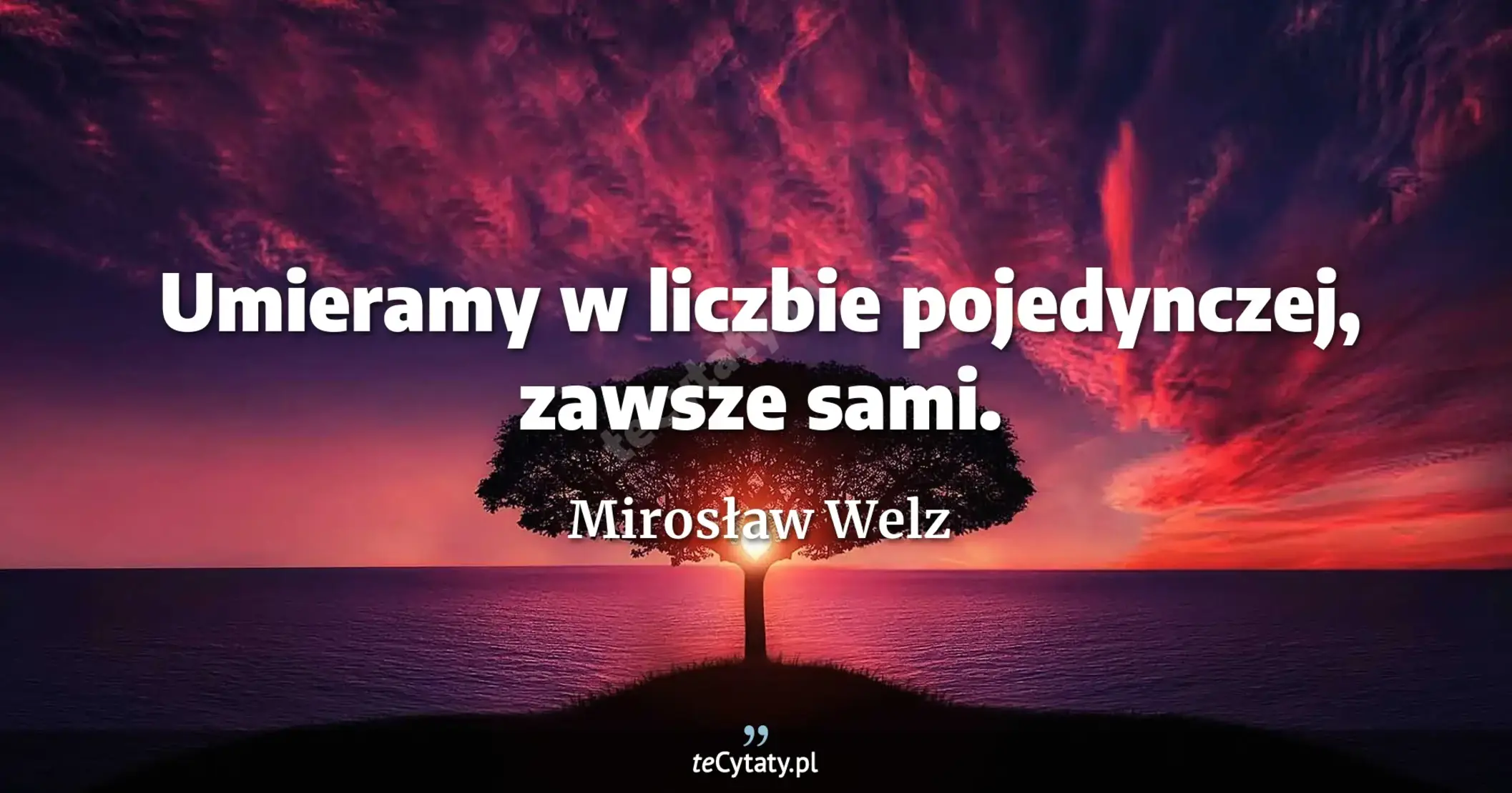 Umieramy w liczbie pojedynczej, zawsze sami. - Mirosław Welz