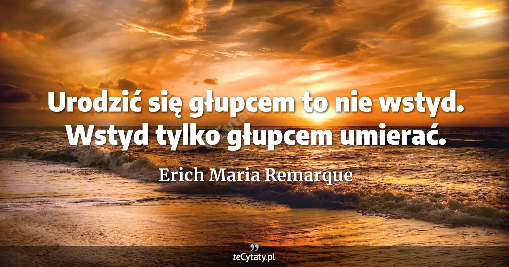 Urodzić się głupcem to nie wstyd. Wstyd tylko głupcem umierać. - Erich Maria Remarque