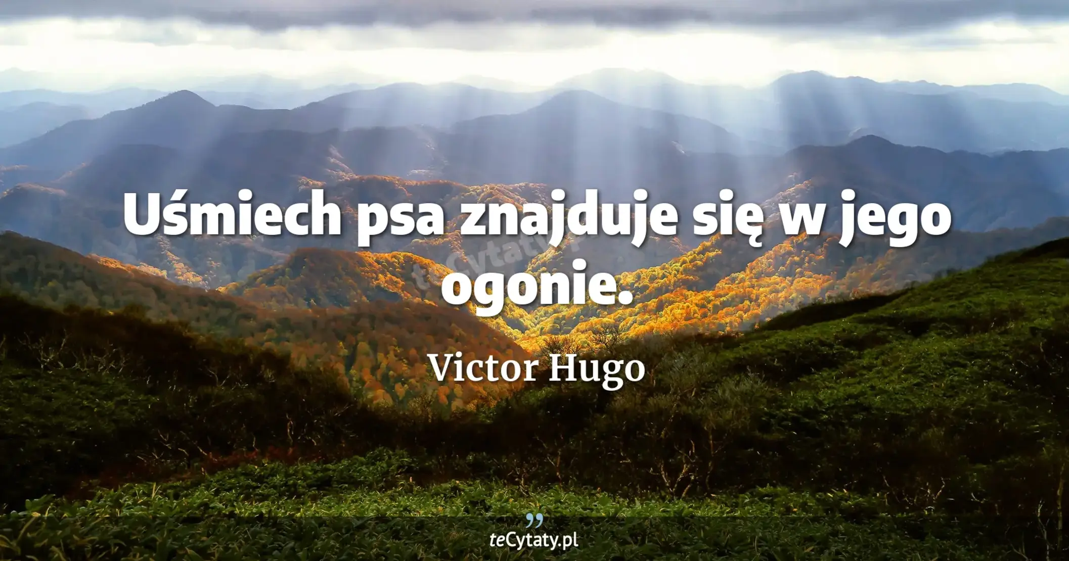 Uśmiech psa znajduje się w jego ogonie. - Victor Hugo