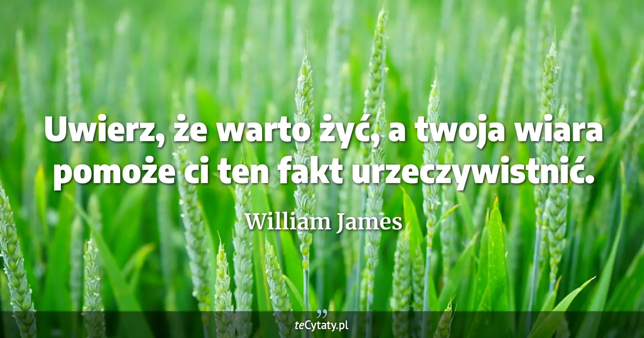 Uwierz, że warto żyć, a twoja wiara pomoże ci ten fakt urzeczywistnić. - William James