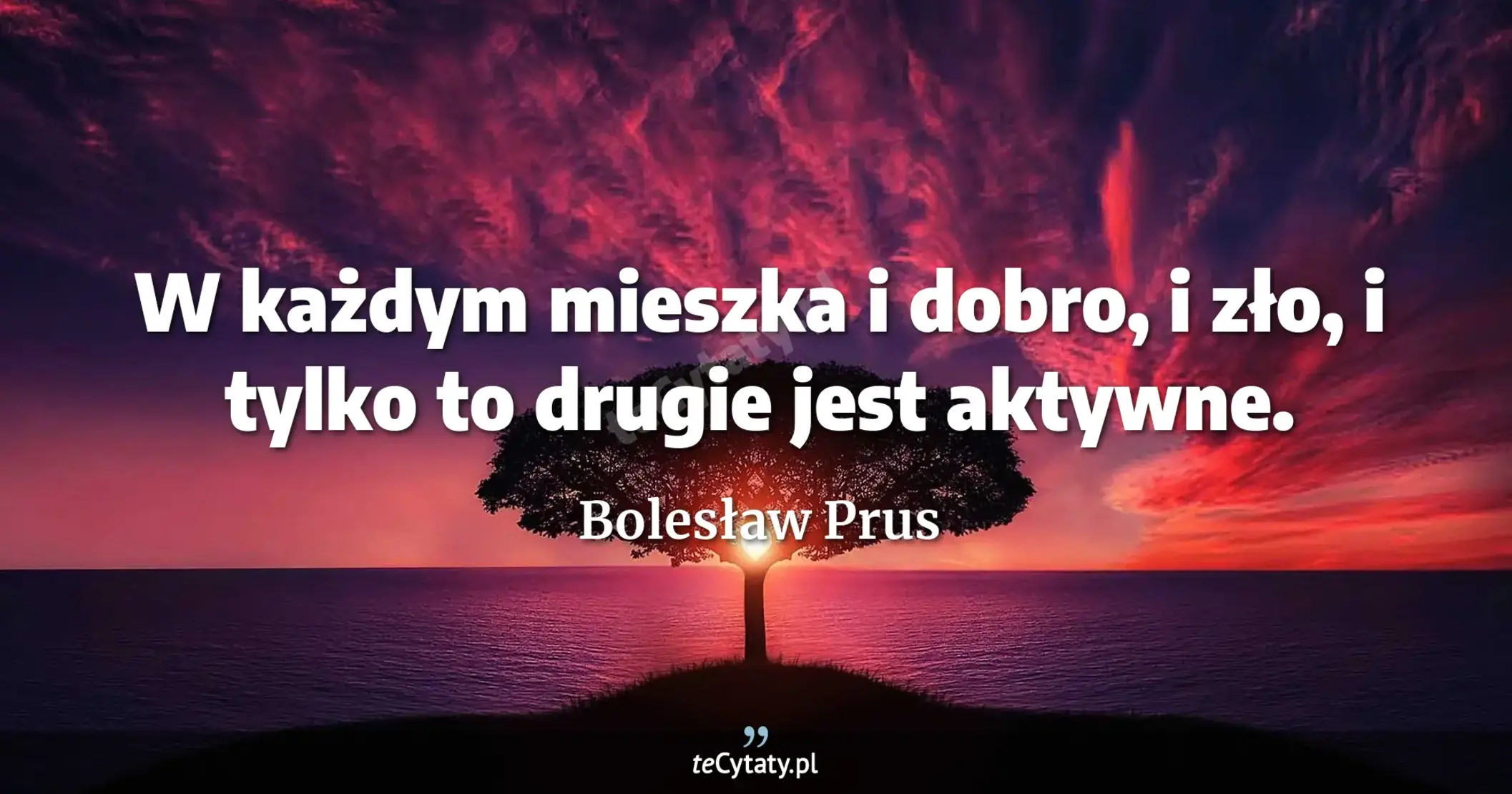 W każdym mieszka i dobro, i zło, i tylko to drugie jest aktywne. - Bolesław Prus