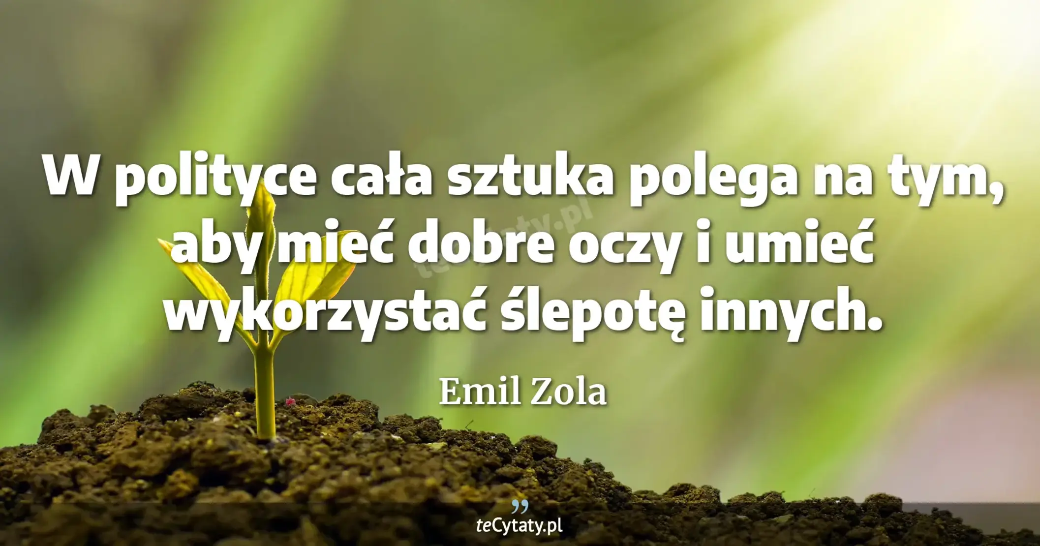 W polityce cała sztuka polega na tym, aby mieć dobre oczy i umieć wykorzystać ślepotę innych. - Emil Zola