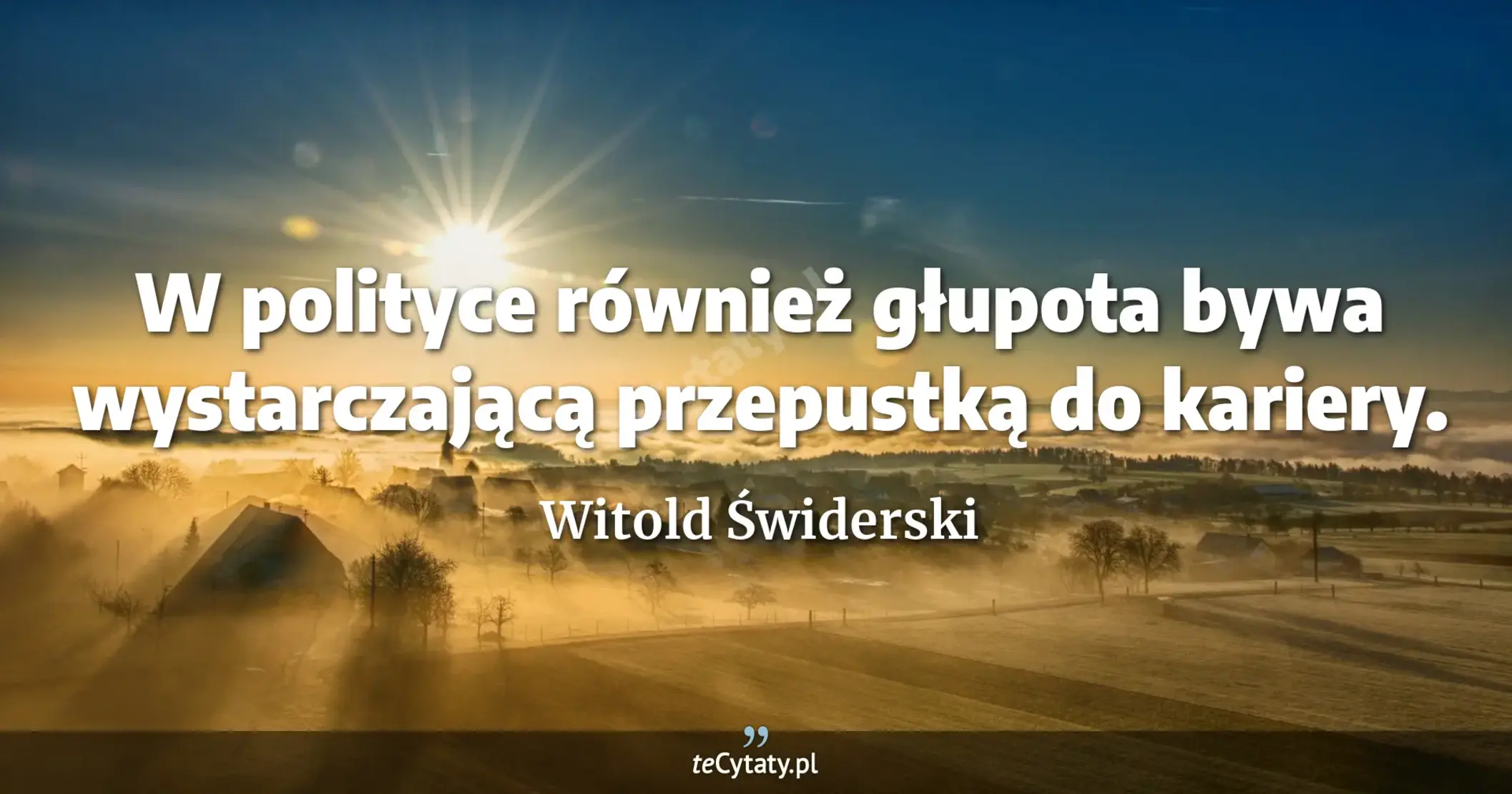 W polityce również głupota bywa wystarczającą przepustką do kariery. - Witold Świderski