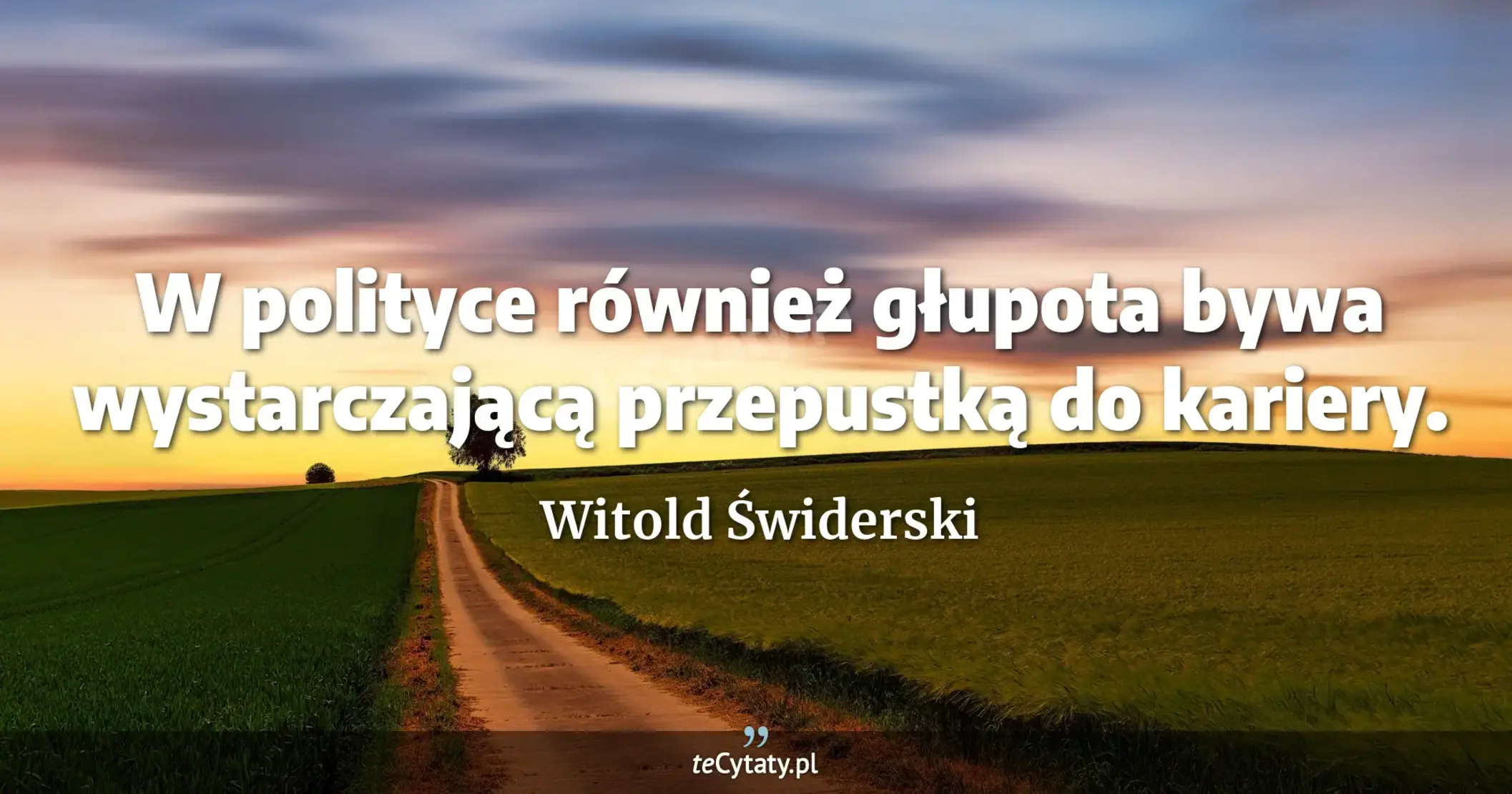 W polityce również głupota bywa wystarczającą przepustką do kariery. - Witold Świderski