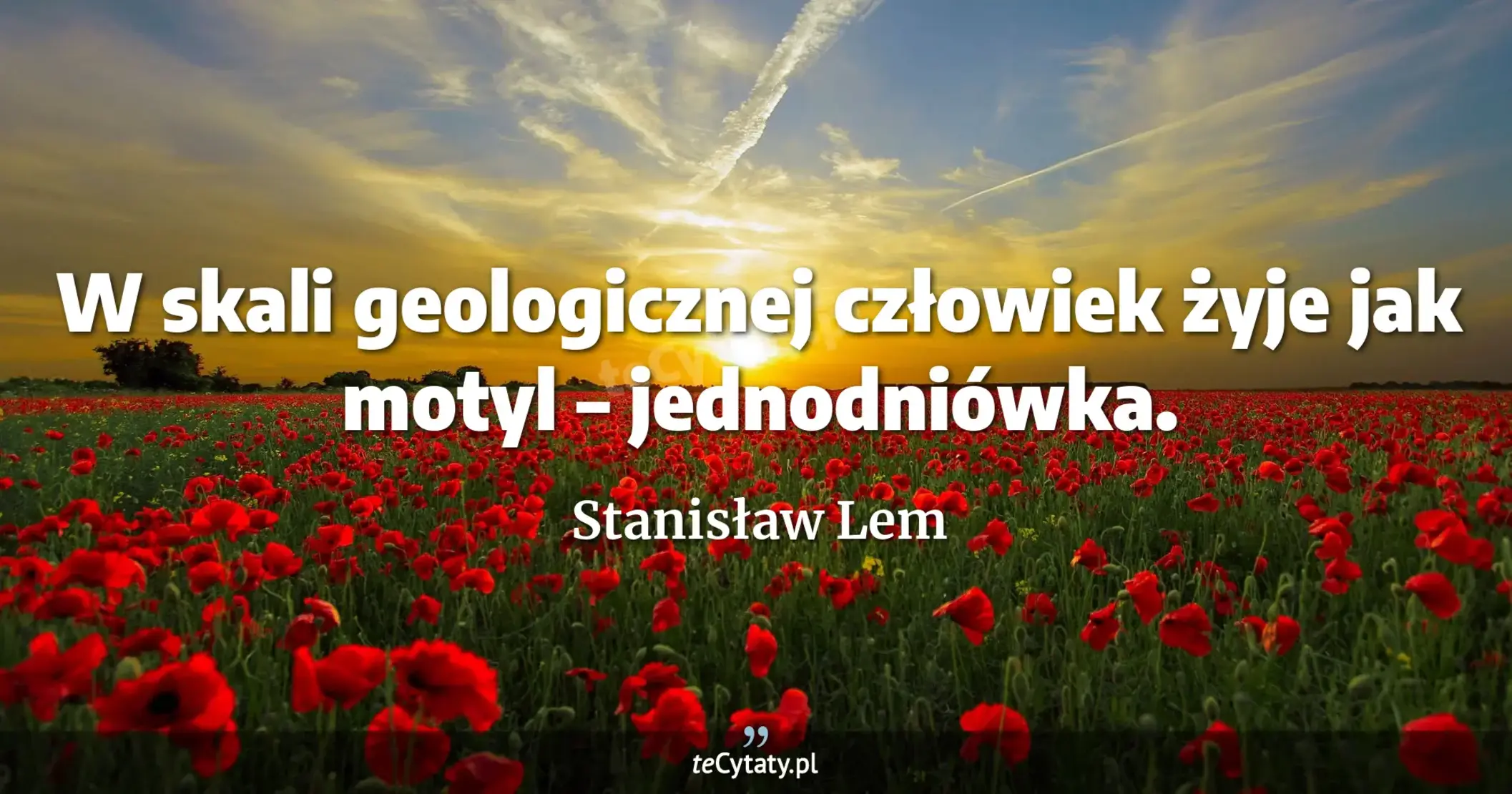 W skali geologicznej człowiek żyje jak motyl – jednodniówka. - Stanisław Lem