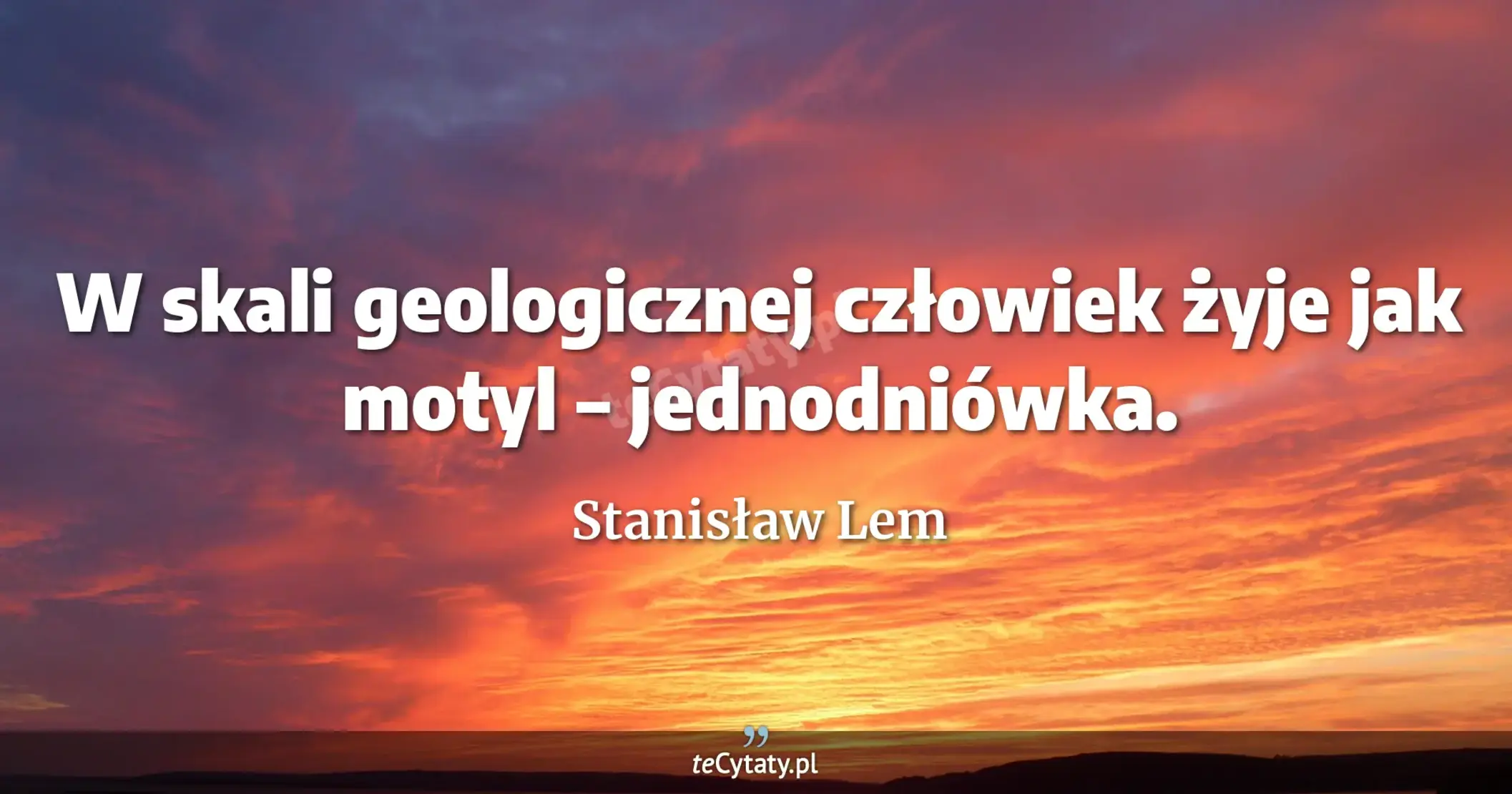 W skali geologicznej człowiek żyje jak motyl – jednodniówka. - Stanisław Lem