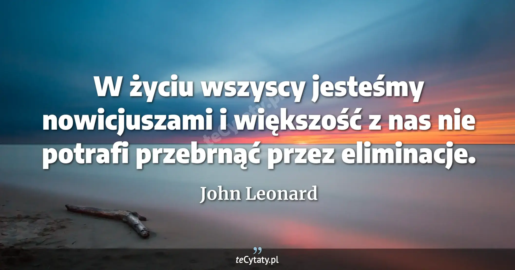 W życiu wszyscy jesteśmy nowicjuszami i większość z nas nie potrafi przebrnąć przez eliminacje. - John Leonard