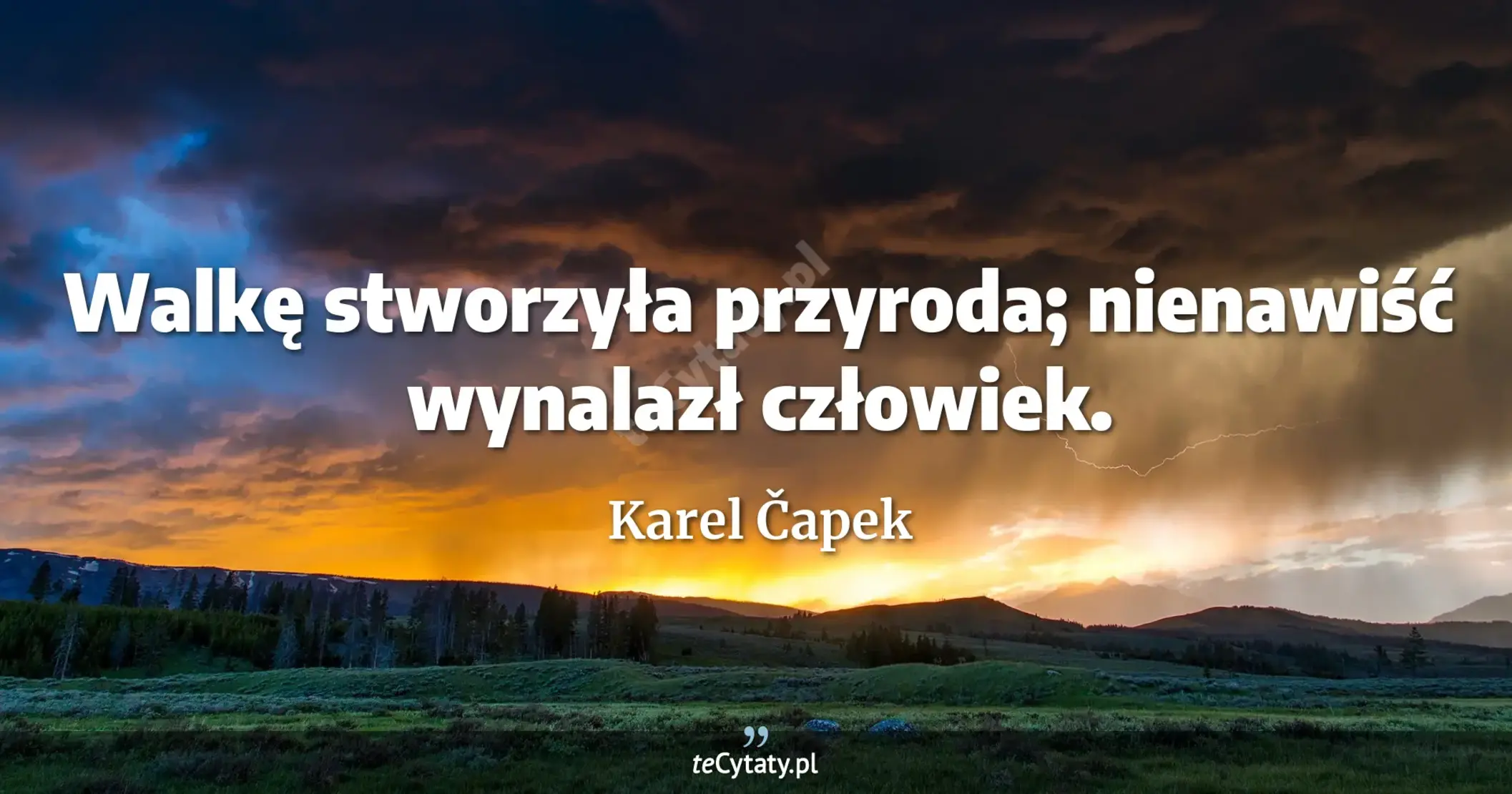Walkę stworzyła przyroda; nienawiść wynalazł człowiek. - Karel Čapek
