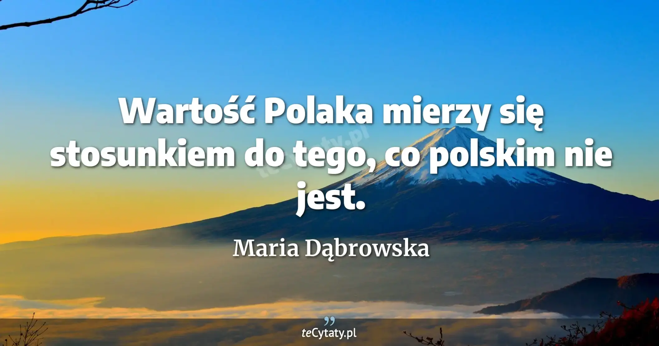 Wartość Polaka mierzy się stosunkiem do tego, co polskim nie jest. - Maria Dąbrowska