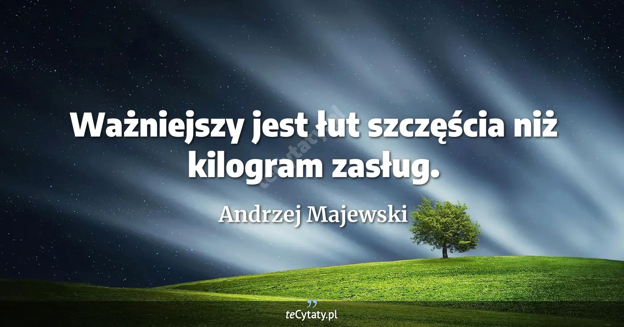 Ważniejszy jest łut szczęścia niż kilogram zasług. - Andrzej Majewski