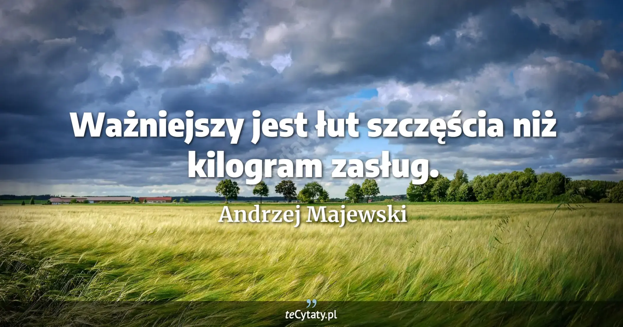 Ważniejszy jest łut szczęścia niż kilogram zasług. - Andrzej Majewski