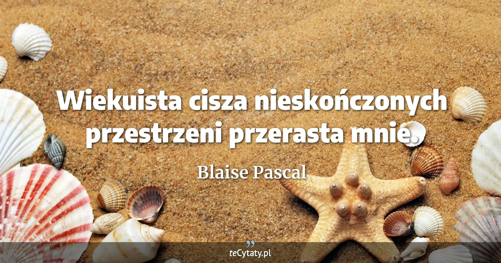 Wiekuista cisza nieskończonych przestrzeni przerasta mnie. - Blaise Pascal