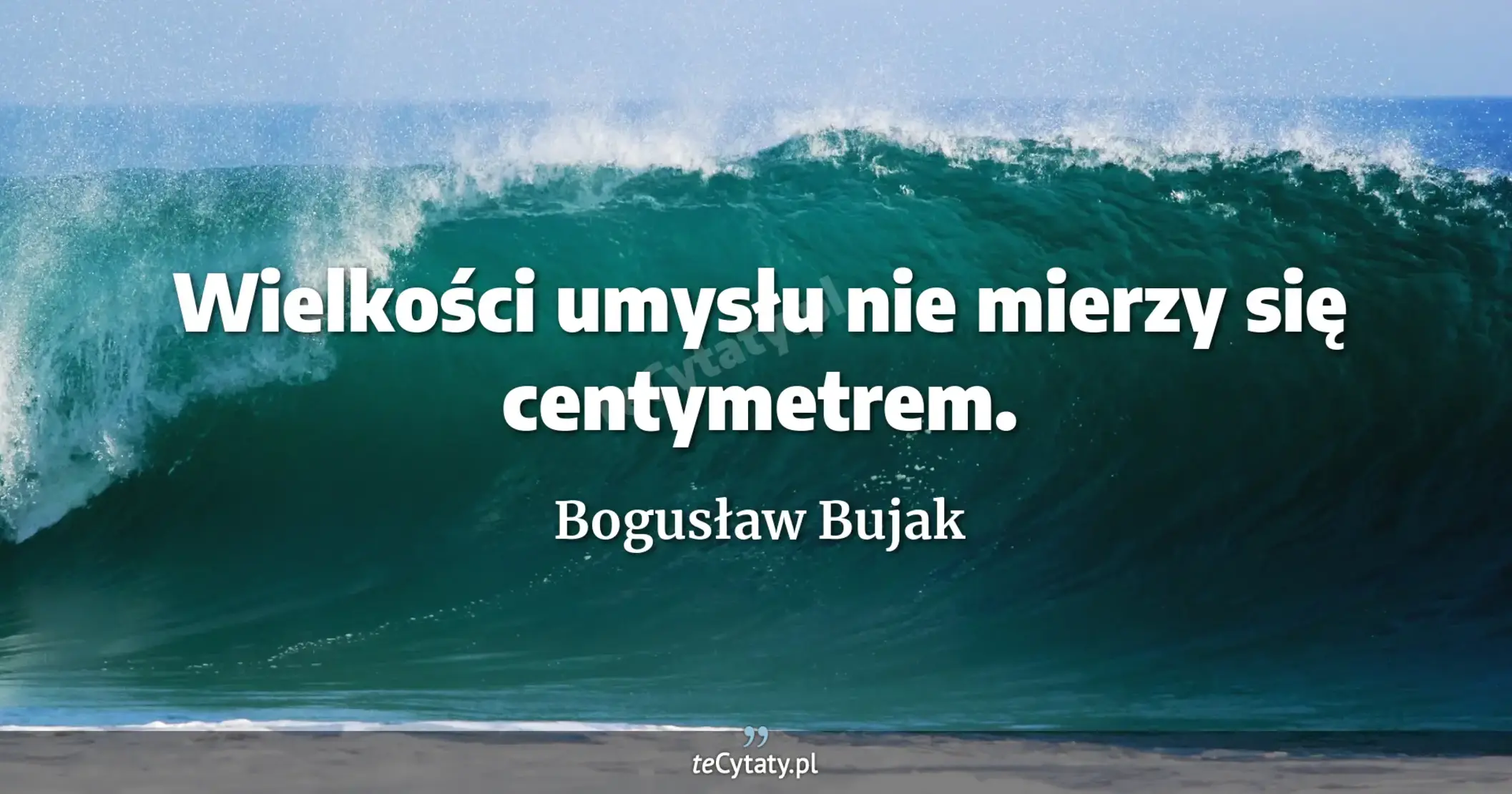 Wielkości umysłu nie mierzy się centymetrem. - Bogusław Bujak