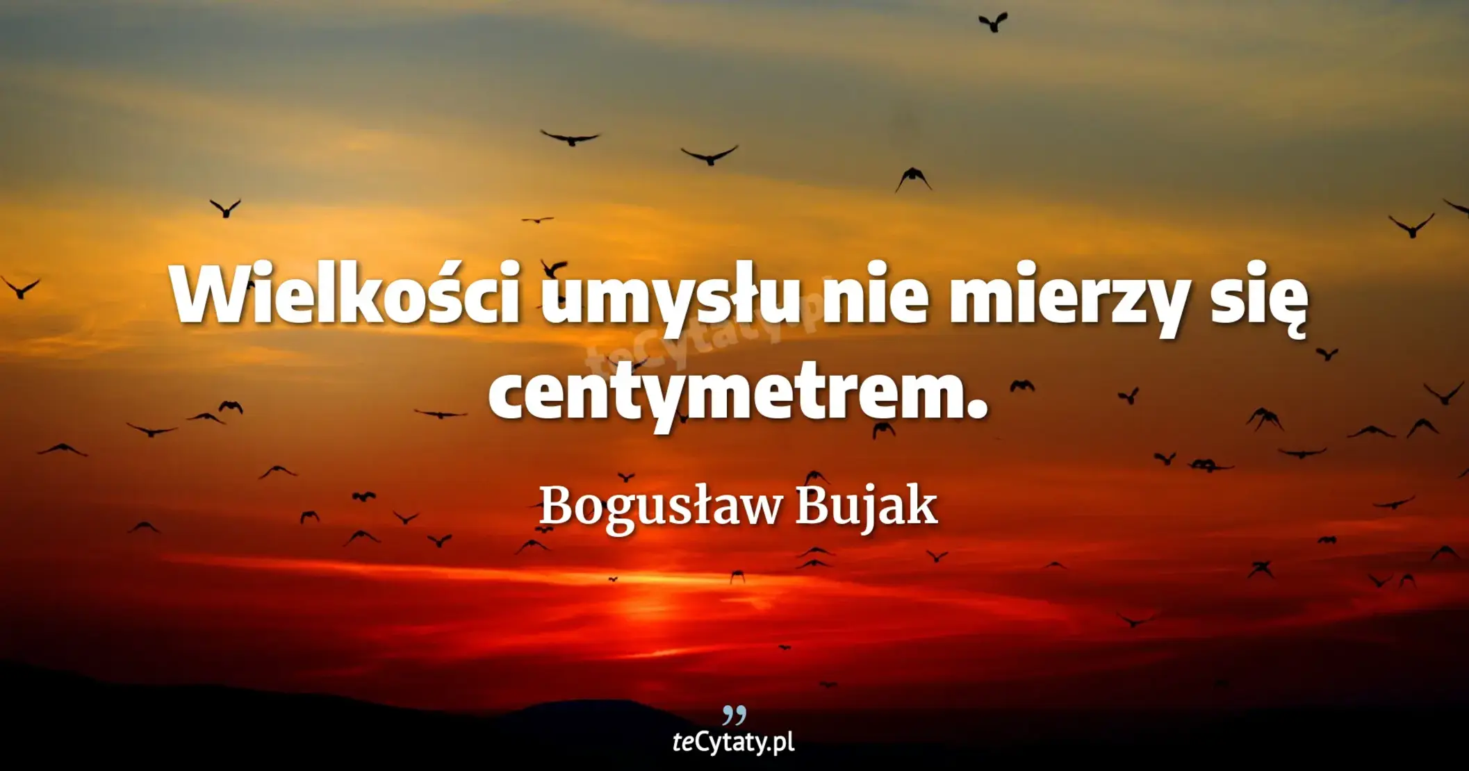 Wielkości umysłu nie mierzy się centymetrem. - Bogusław Bujak