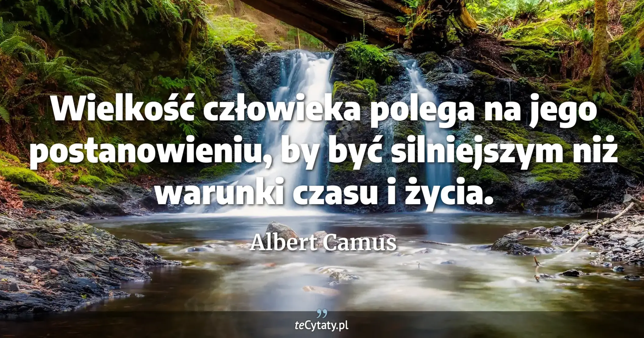 Wielkość człowieka polega na jego postanowieniu, by być silniejszym niż warunki czasu i życia. - Albert Camus