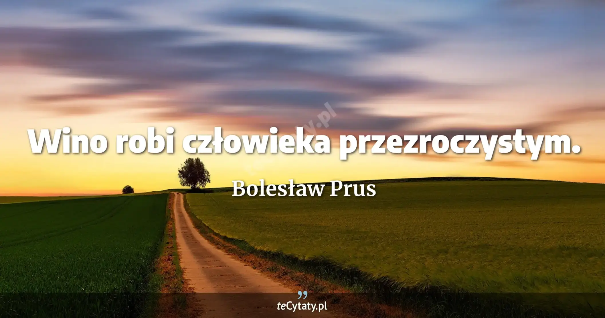 Wino robi człowieka przezroczystym. - Bolesław Prus