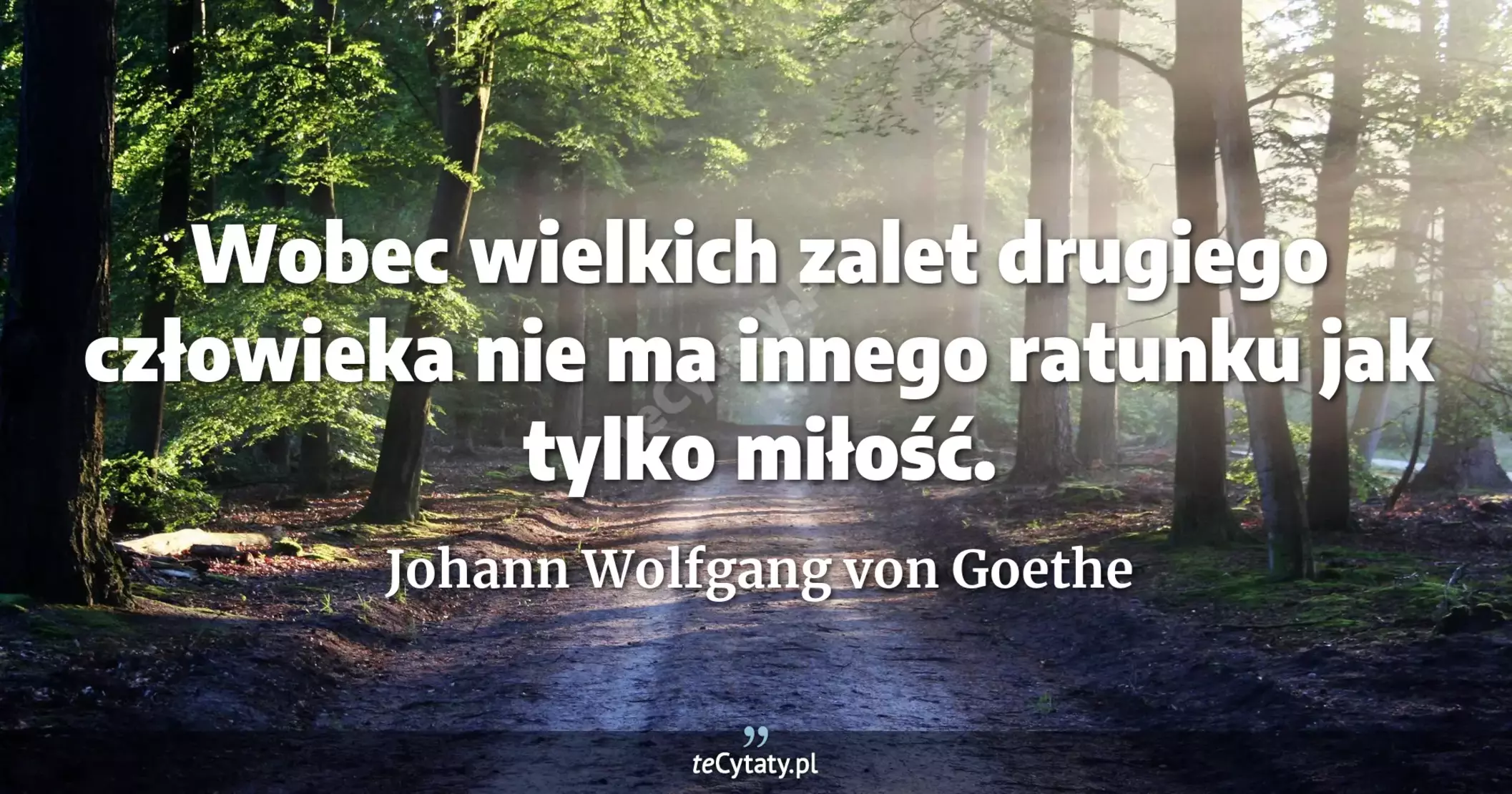 Wobec wielkich zalet drugiego człowieka nie ma innego ratunku jak tylko miłość. - Johann Wolfgang von Goethe