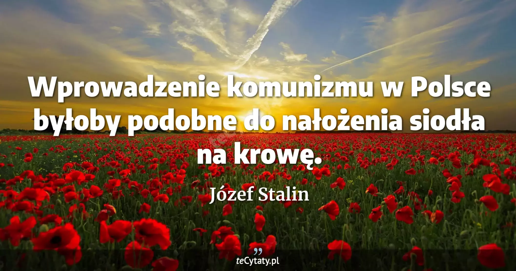 Wprowadzenie komunizmu w Polsce byłoby podobne do nałożenia siodła na krowę. - Józef Stalin