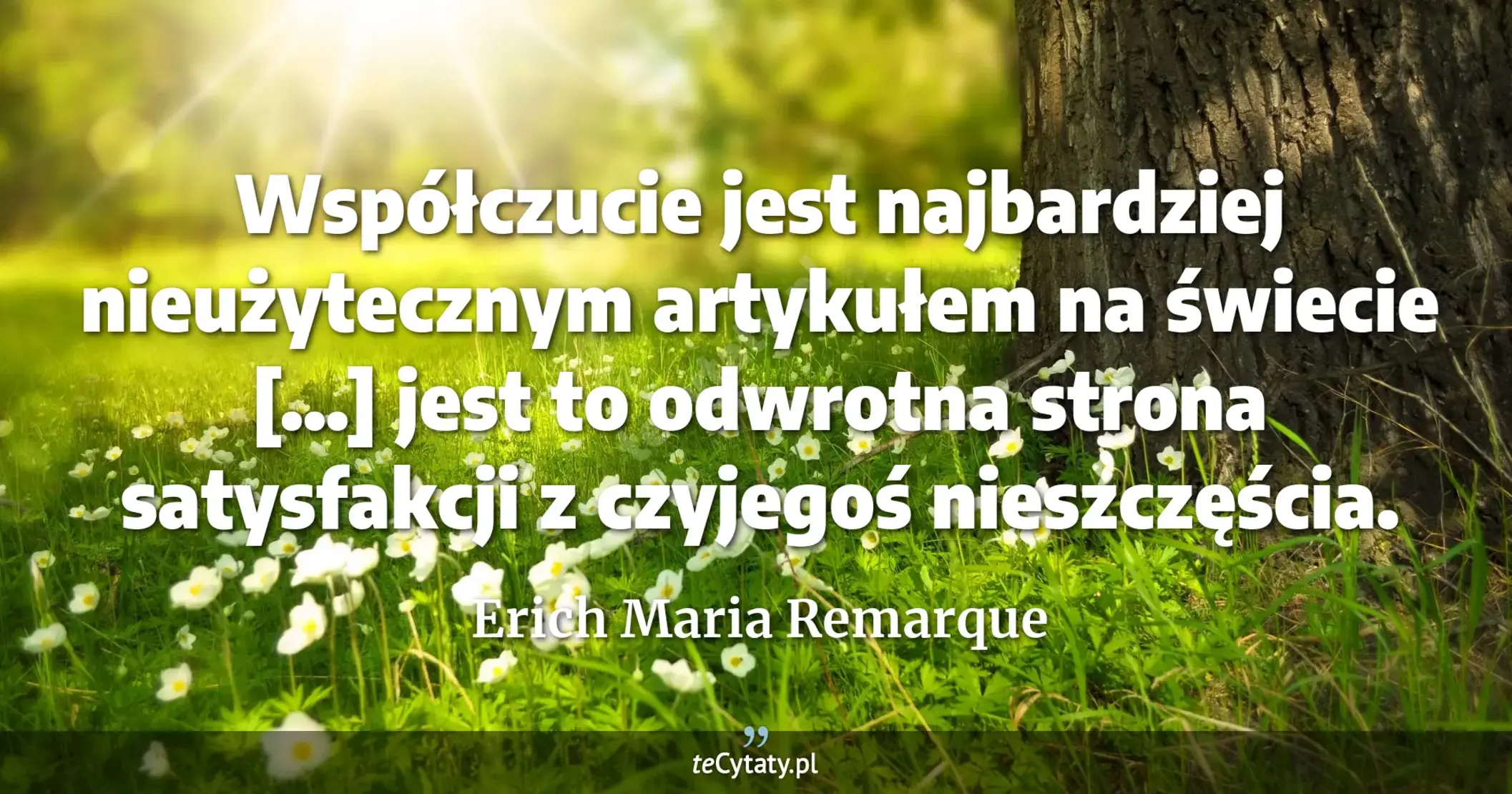 Współczucie jest najbardziej nieużytecznym artykułem na świecie [...] jest to odwrotna strona satysfakcji z czyjegoś nieszczęścia. - Erich Maria Remarque