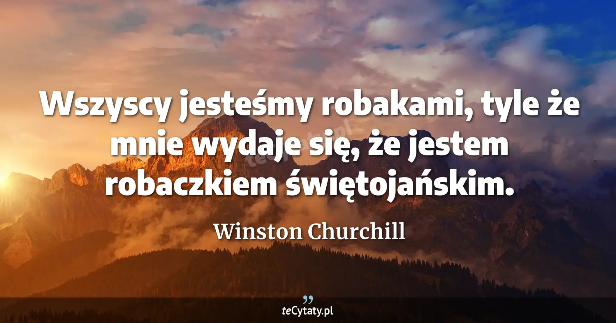 Wszyscy jesteśmy robakami, tyle że mnie wydaje się, że jestem robaczkiem świętojańskim. - Winston Churchill