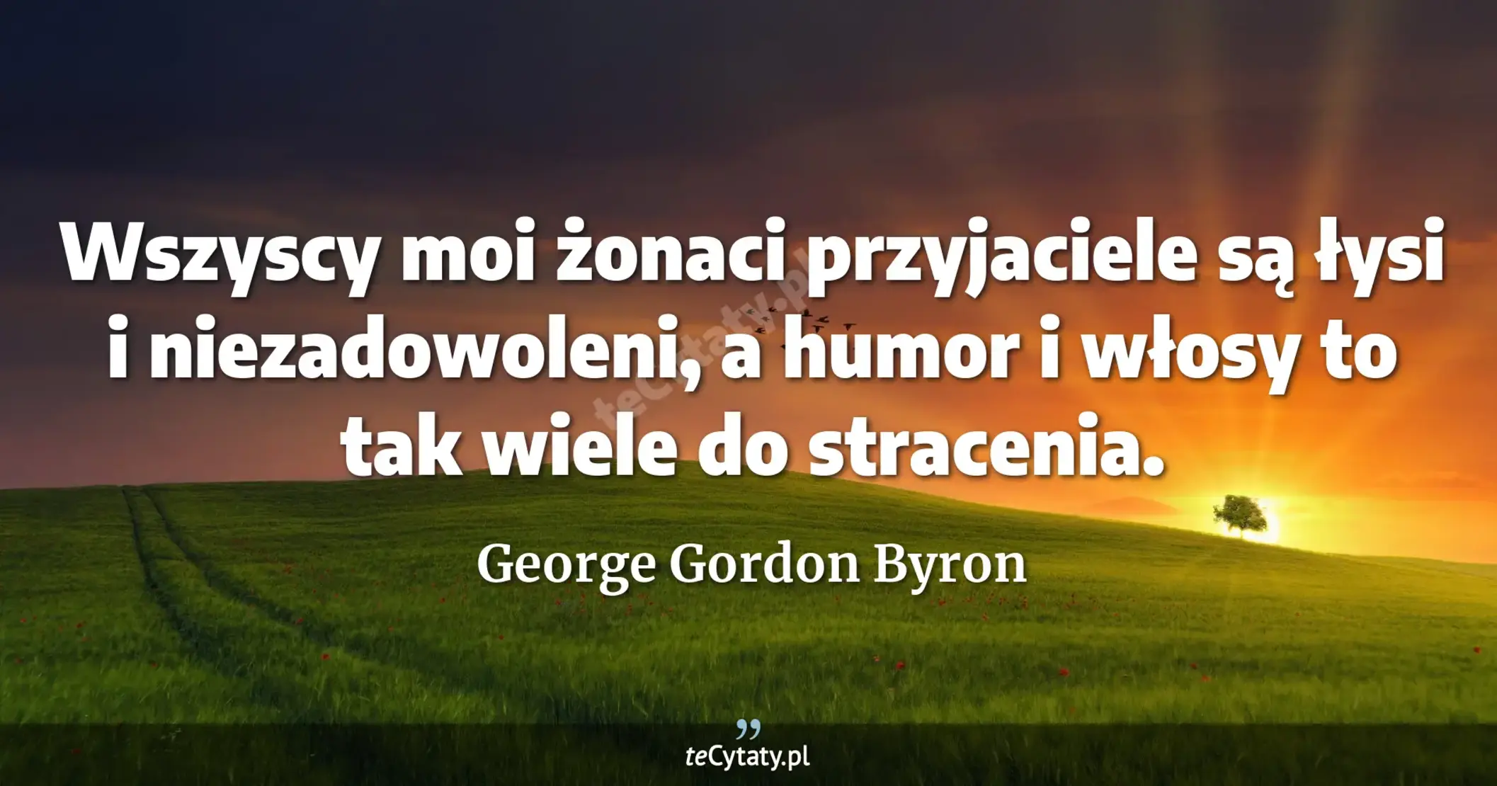 Wszyscy moi żonaci przyjaciele są łysi i niezadowoleni, a humor i włosy to tak wiele do stracenia. - George Gordon Byron