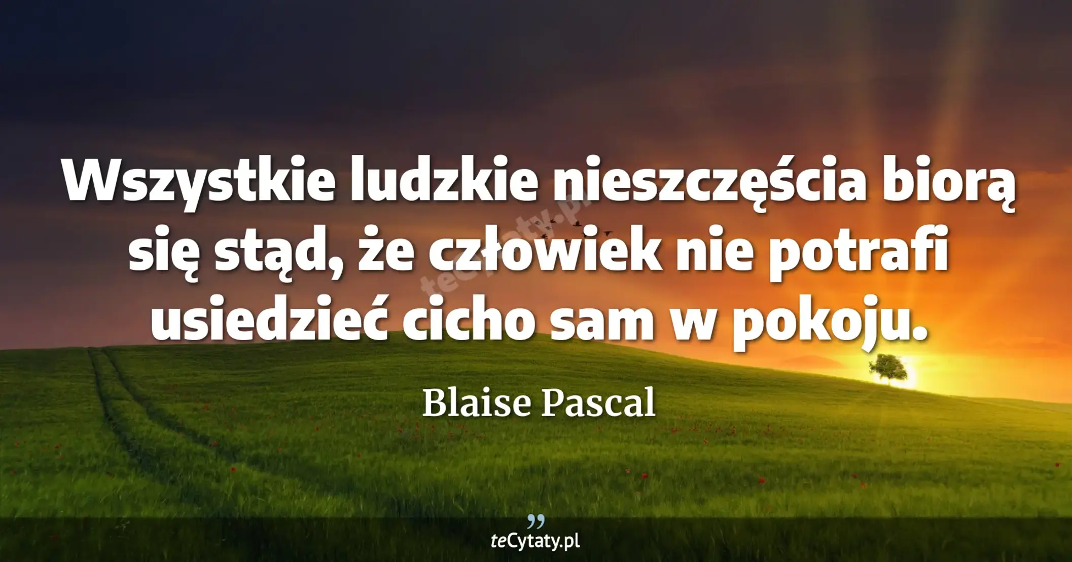 Wszystkie ludzkie nieszczęścia biorą się stąd, że człowiek nie potrafi usiedzieć cicho sam w pokoju. - Blaise Pascal