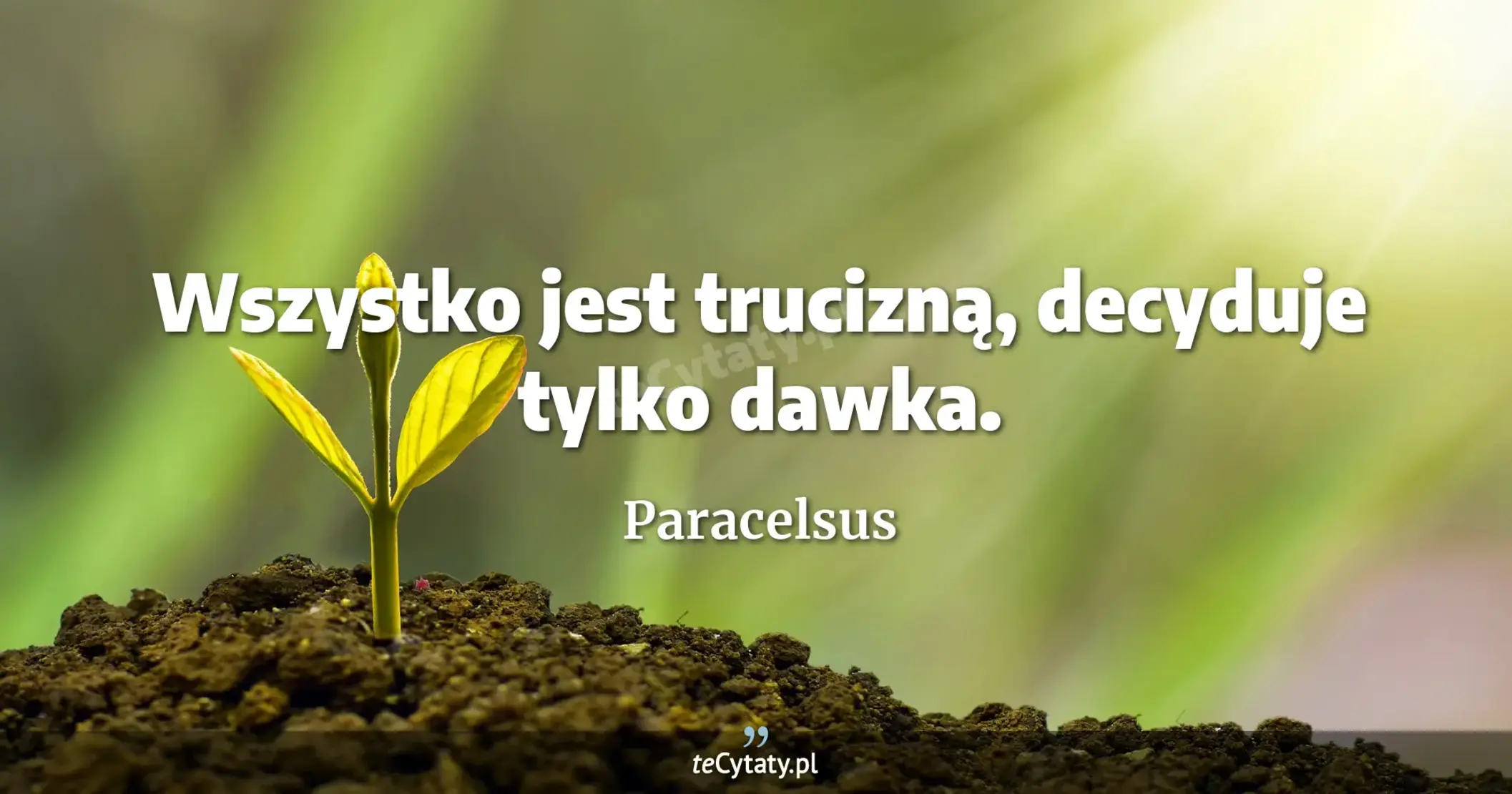 Wszystko jest trucizną, decyduje tylko dawka. - Paracelsus