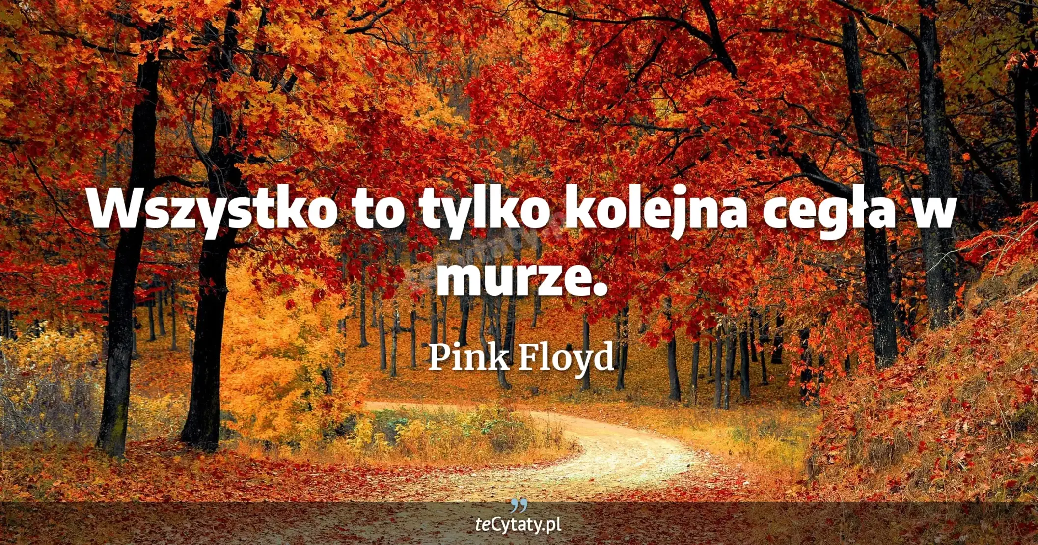 Wszystko to tylko kolejna cegła w murze. - Pink Floyd