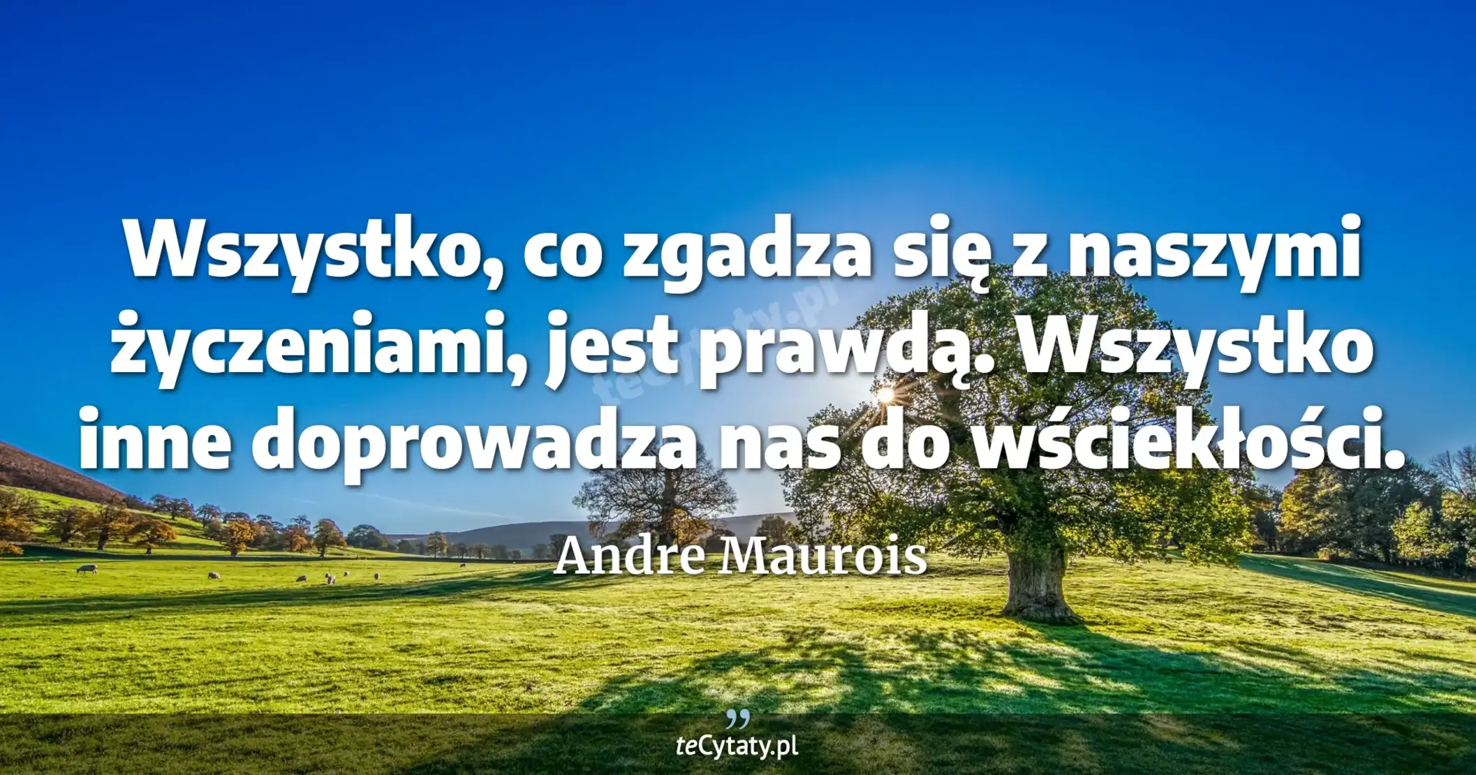 Wszystko, co zgadza się z naszymi życzeniami, jest prawdą. Wszystko inne doprowadza nas do wściekłości. - Andre Maurois