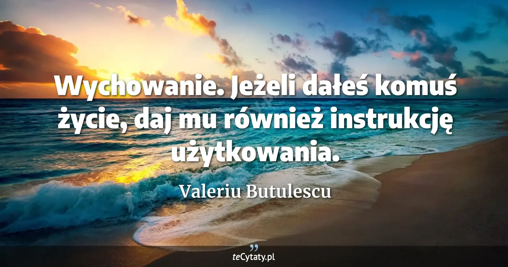 Wychowanie. Jeżeli dałeś komuś życie, daj mu również instrukcję użytkowania. - Valeriu Butulescu