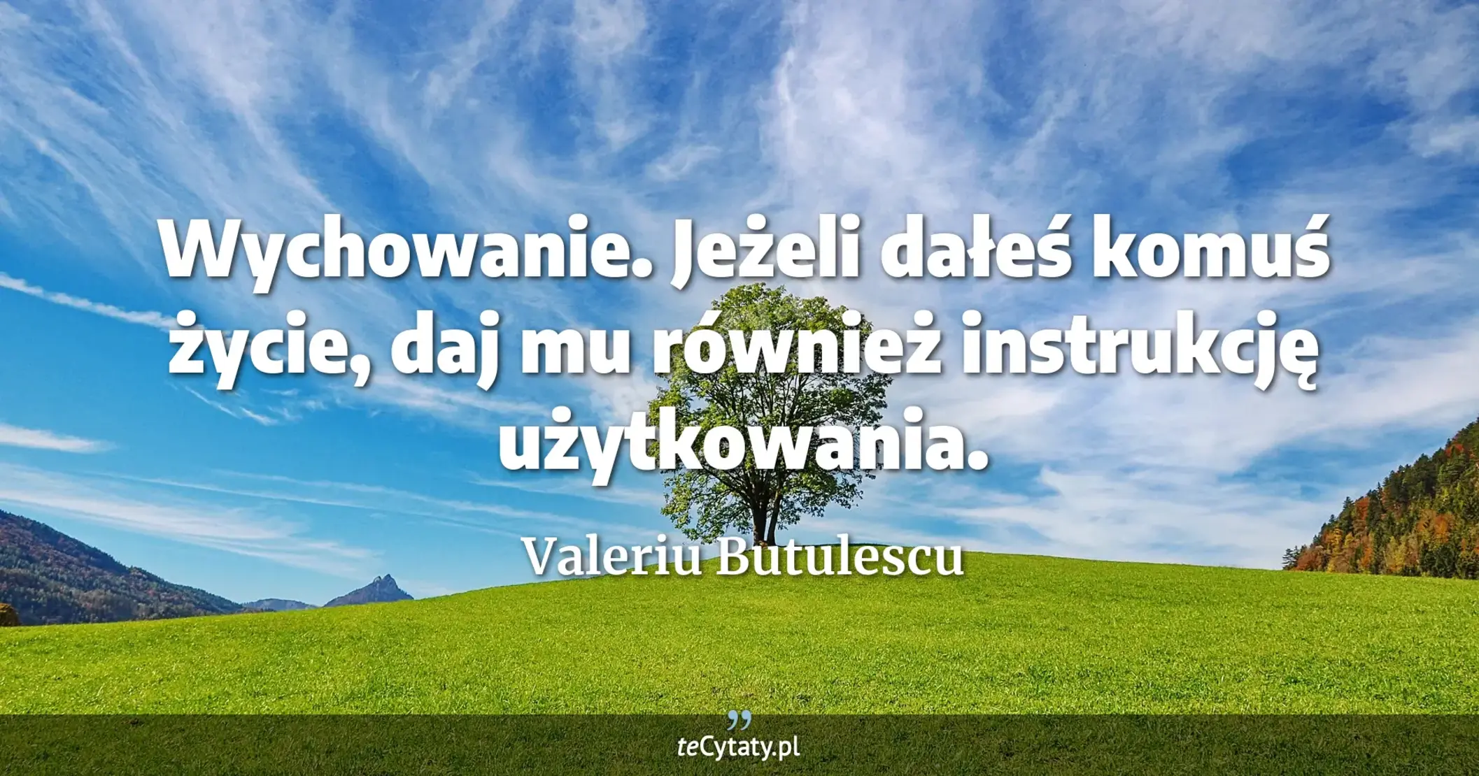Wychowanie. Jeżeli dałeś komuś życie, daj mu również instrukcję użytkowania. - Valeriu Butulescu