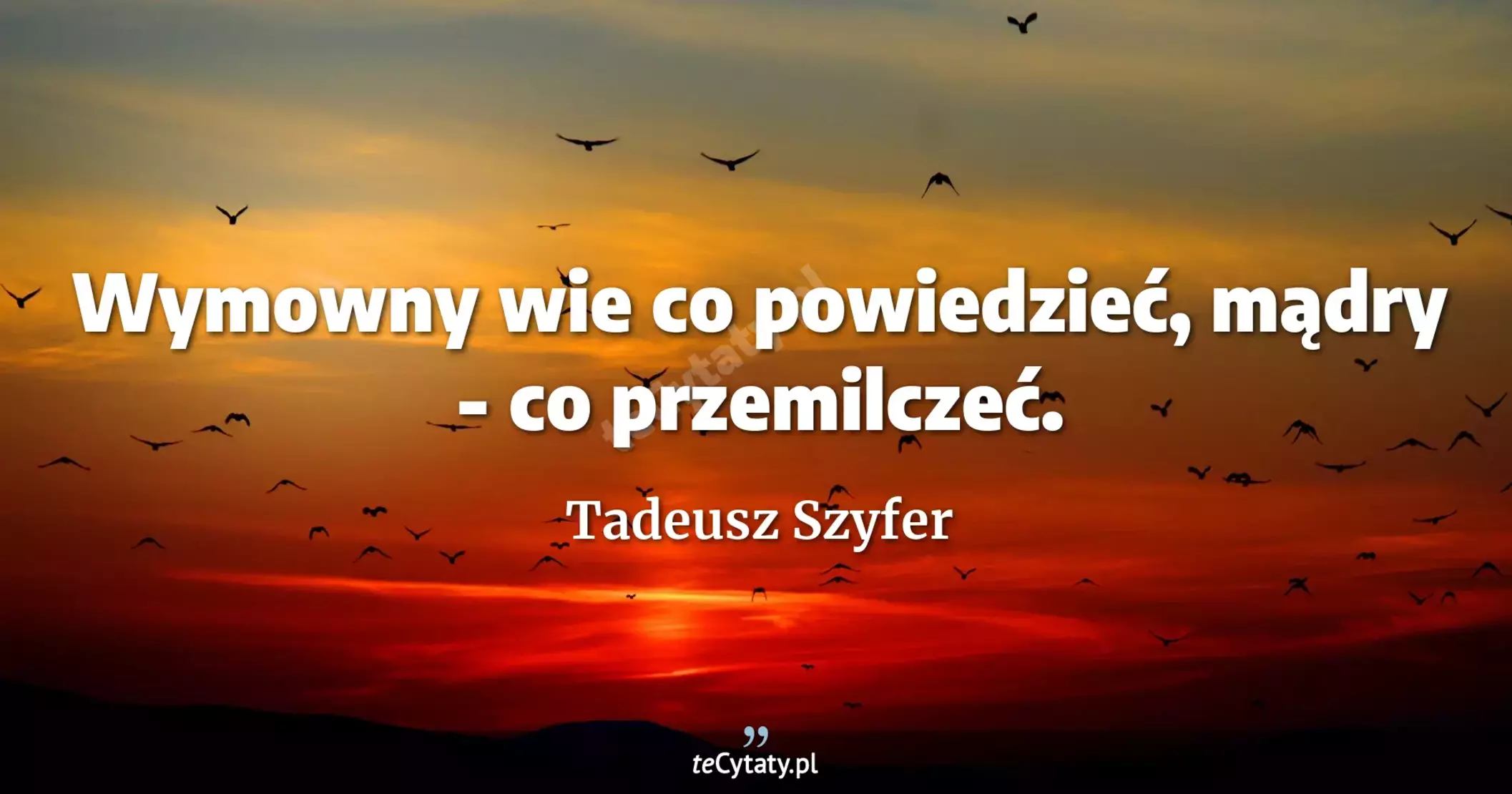 Wymowny wie co powiedzieć, mądry - co przemilczeć. - Tadeusz Szyfer