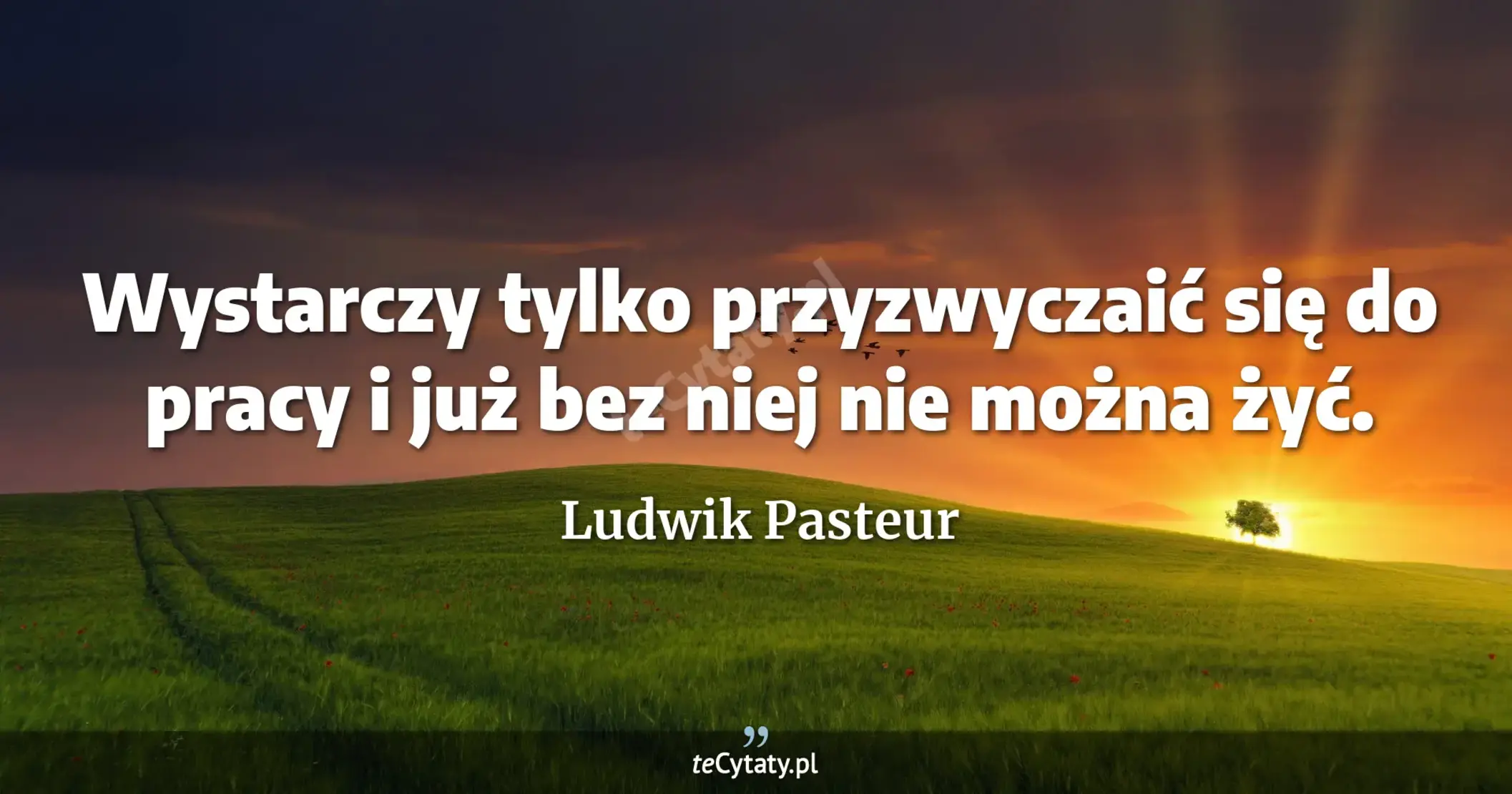 Wystarczy tylko przyzwyczaić się do pracy i już bez niej nie można żyć. - Ludwik Pasteur