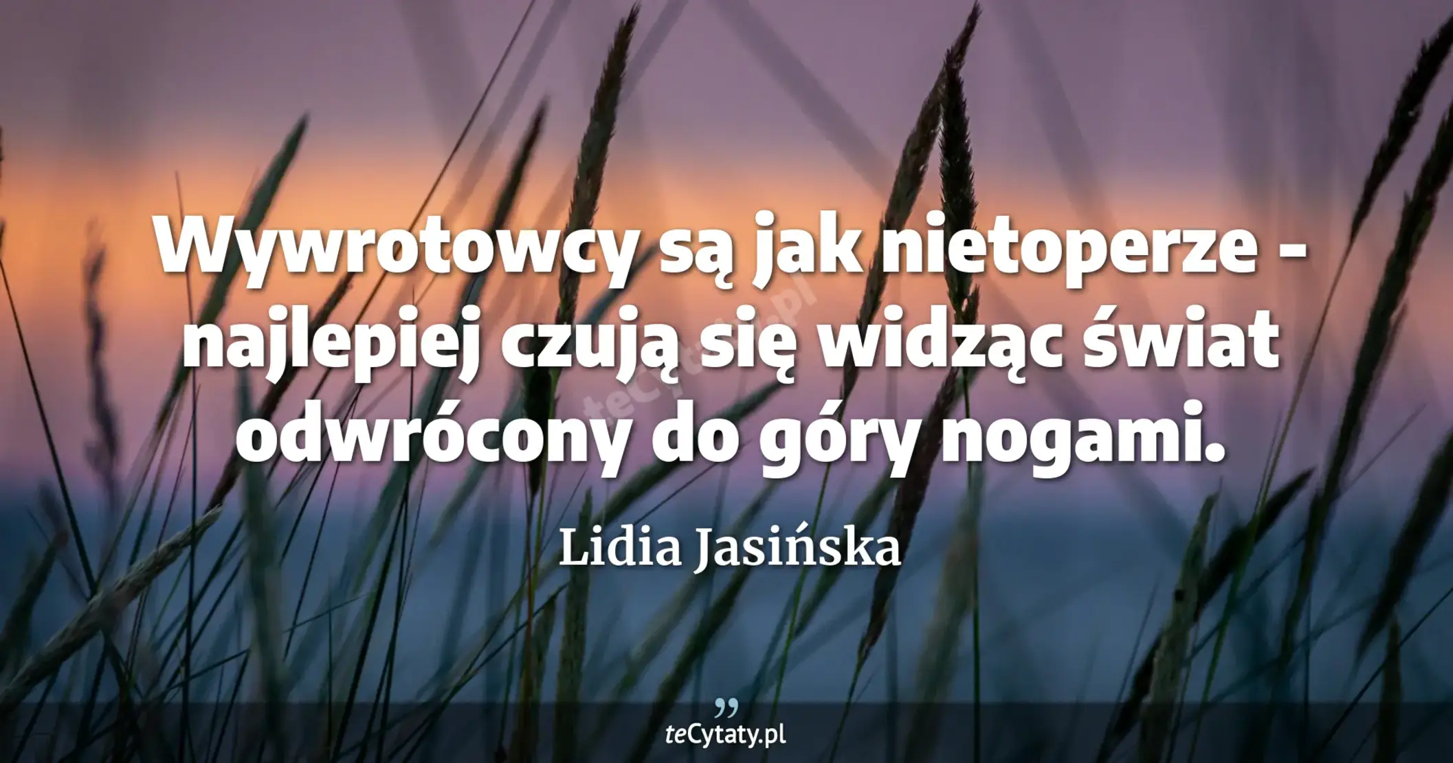 Wywrotowcy są jak nietoperze - najlepiej czują się widząc świat odwrócony do góry nogami. - Lidia Jasińska