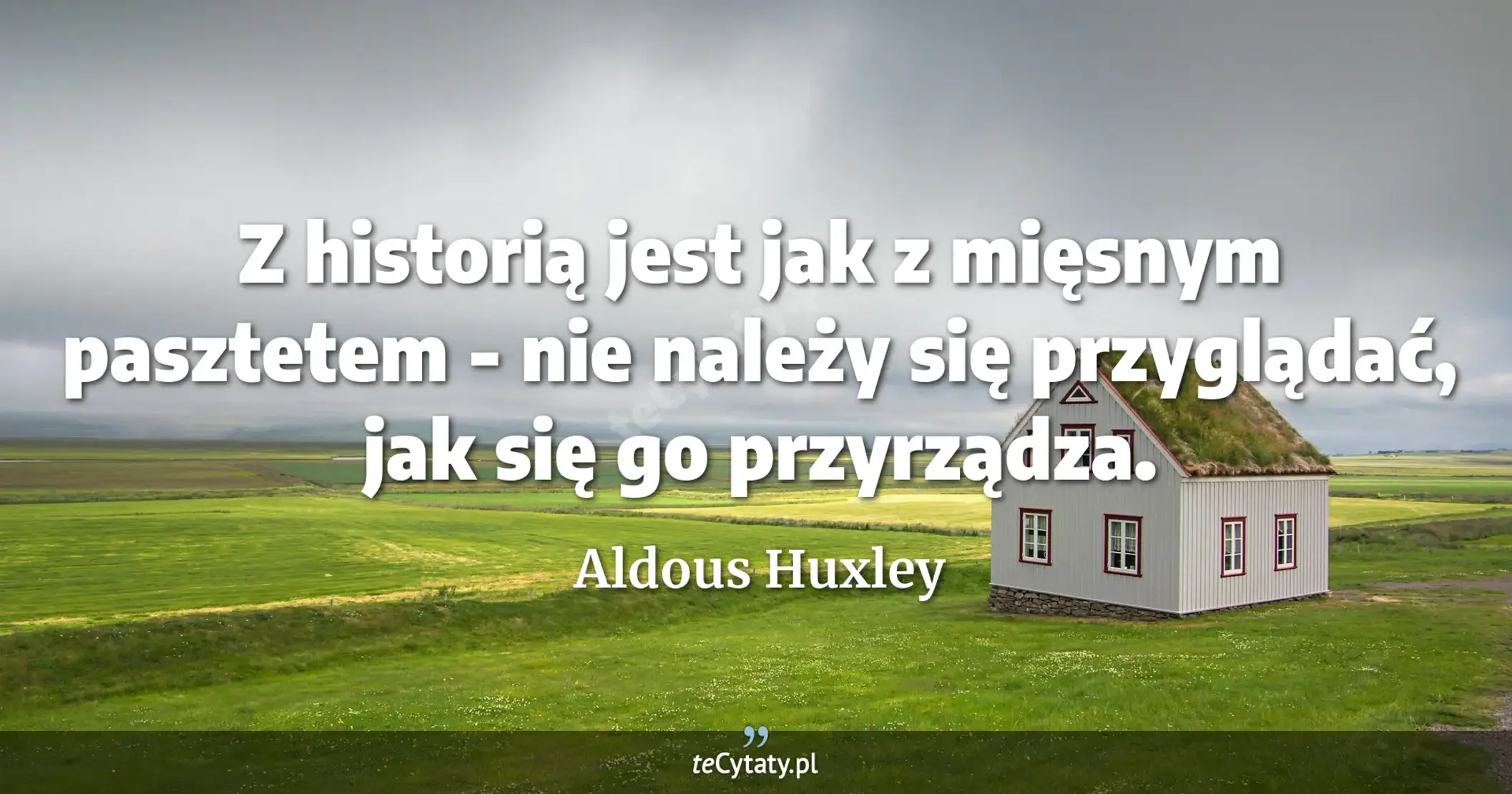 Z historią jest jak z mięsnym pasztetem - nie należy się przyglądać, jak się go przyrządza. - Aldous Huxley