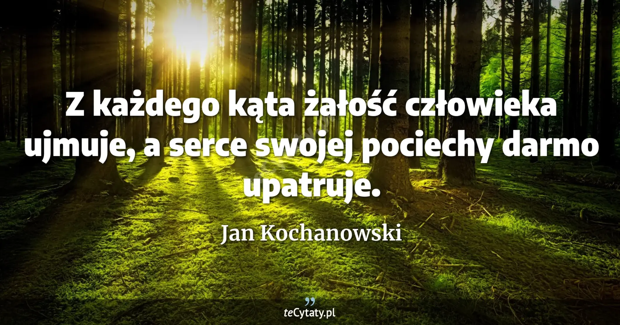 Z każdego kąta żałość człowieka ujmuje, a serce swojej pociechy darmo upatruje. - Jan Kochanowski