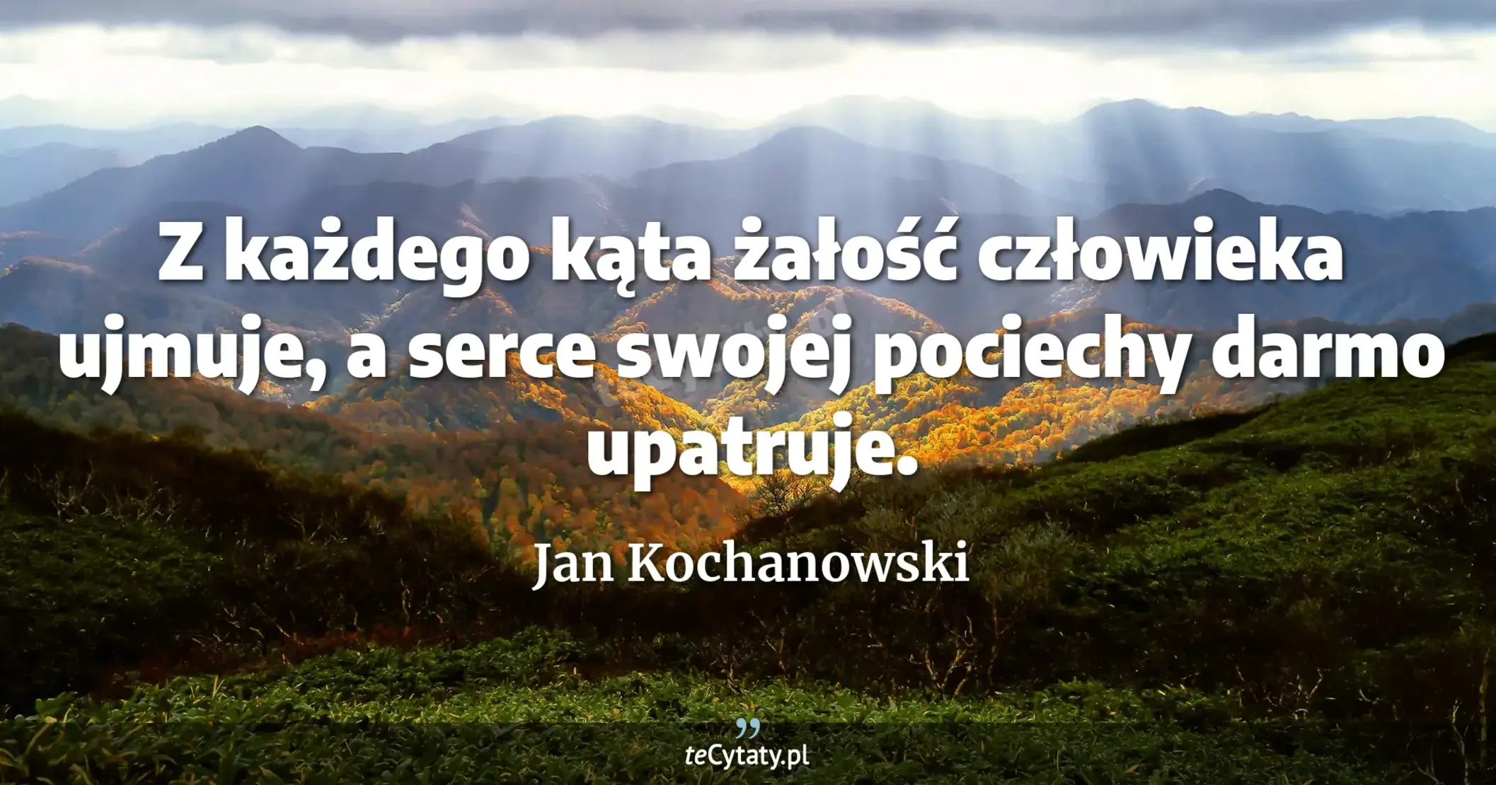 Z każdego kąta żałość człowieka ujmuje, a serce swojej pociechy darmo upatruje. - Jan Kochanowski