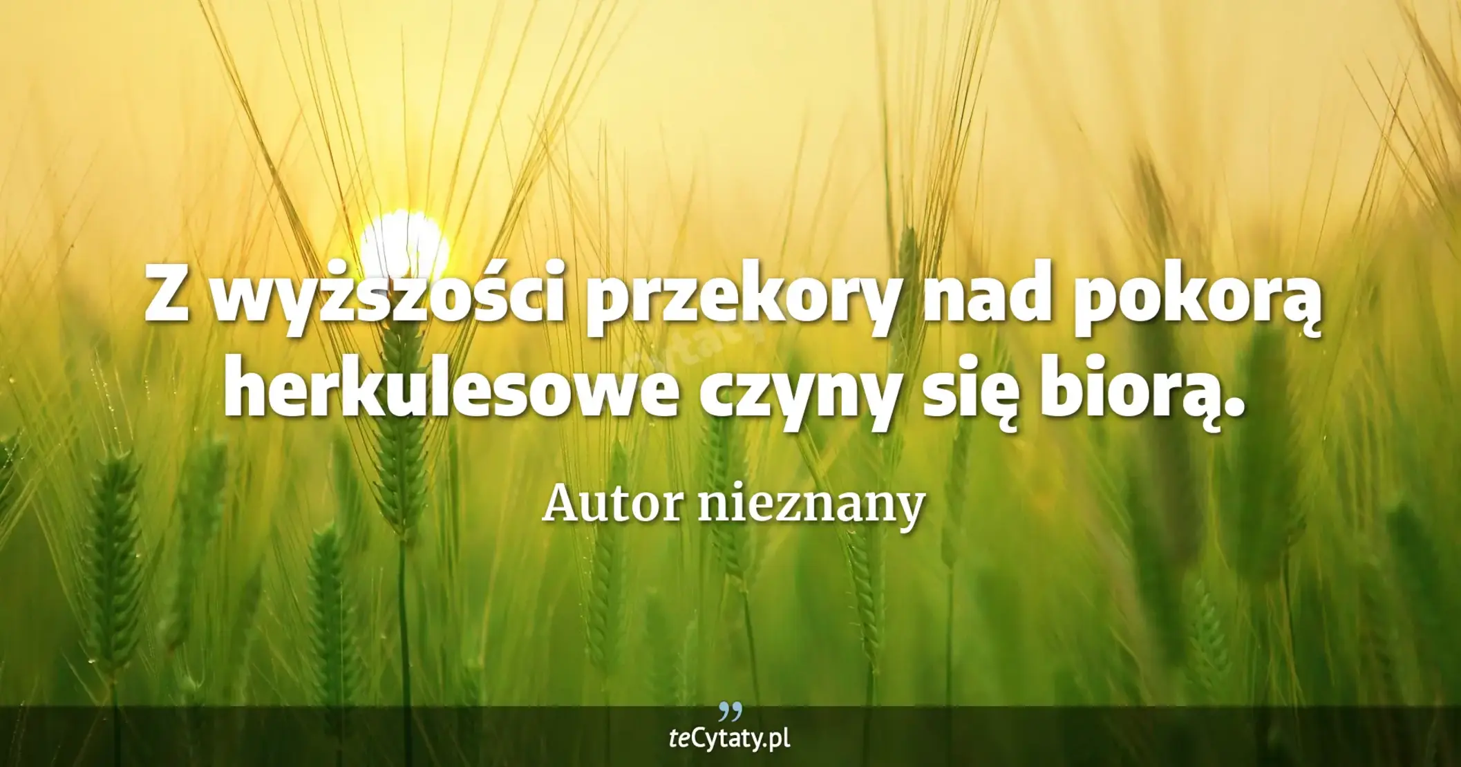 Z wyższości przekory nad pokorą herkulesowe czyny się biorą. - Autor nieznany