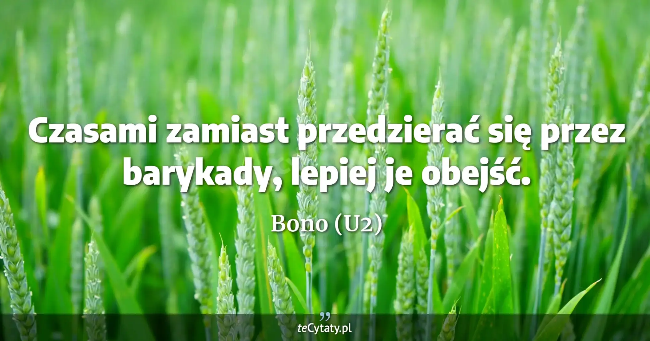 Czasami zamiast przedzierać się przez barykady, lepiej je obejść. - Bono (U2)