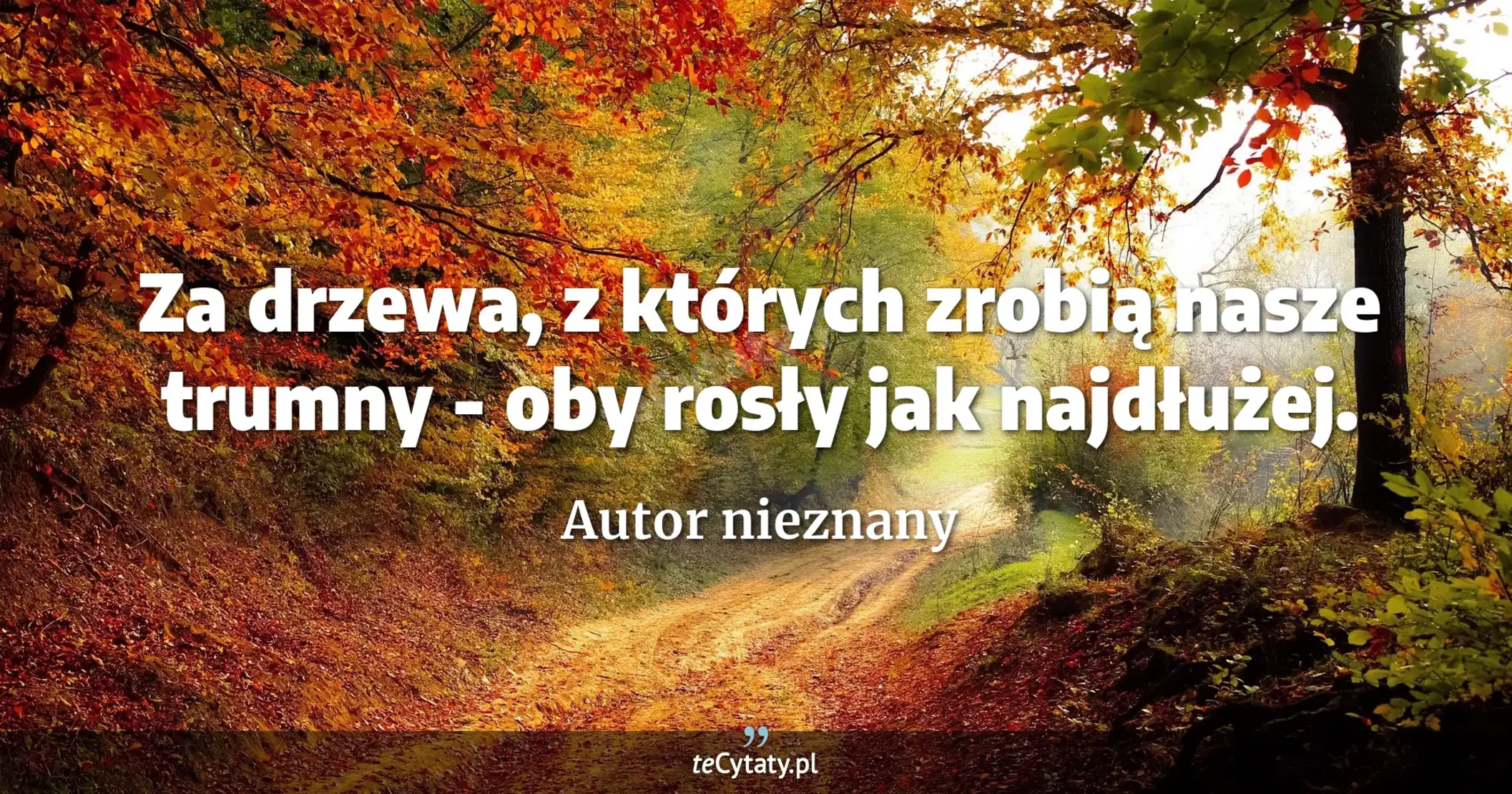 Za drzewa, z których zrobią nasze trumny - oby rosły jak najdłużej. - Autor nieznany