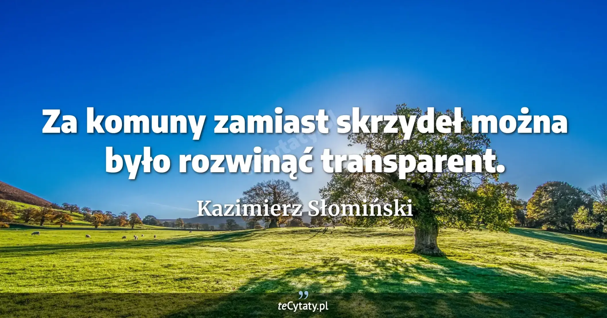 Za komuny zamiast skrzydeł można było rozwinąć transparent. - Kazimierz Słomiński