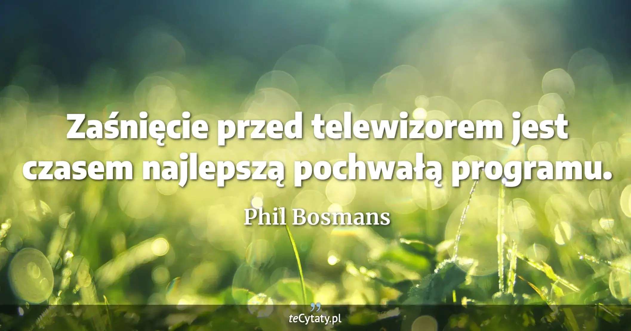Zaśnięcie przed telewizorem jest czasem najlepszą pochwałą programu. - Phil Bosmans