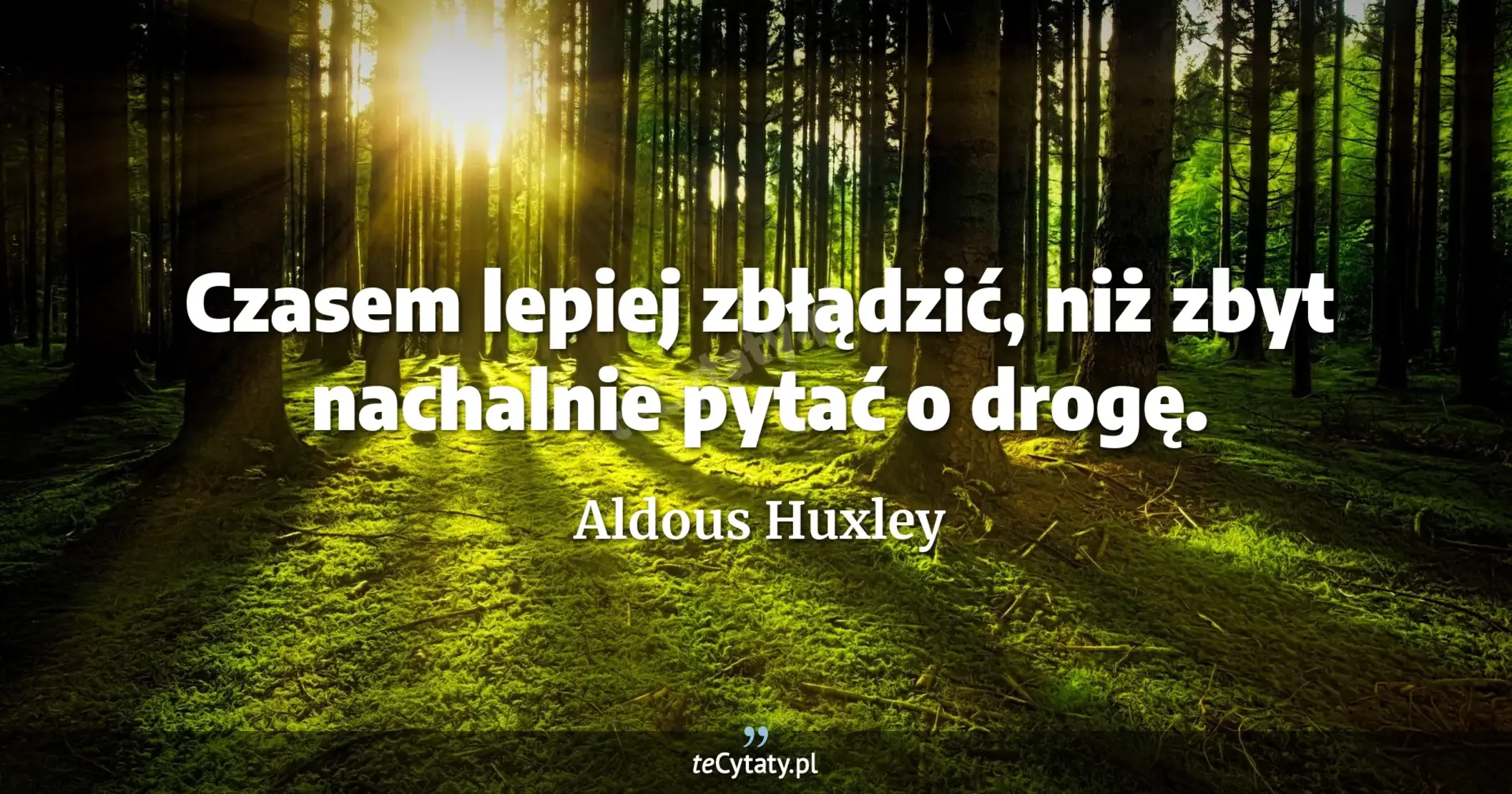 Czasem lepiej zbłądzić, niż zbyt nachalnie pytać o drogę. - Aldous Huxley