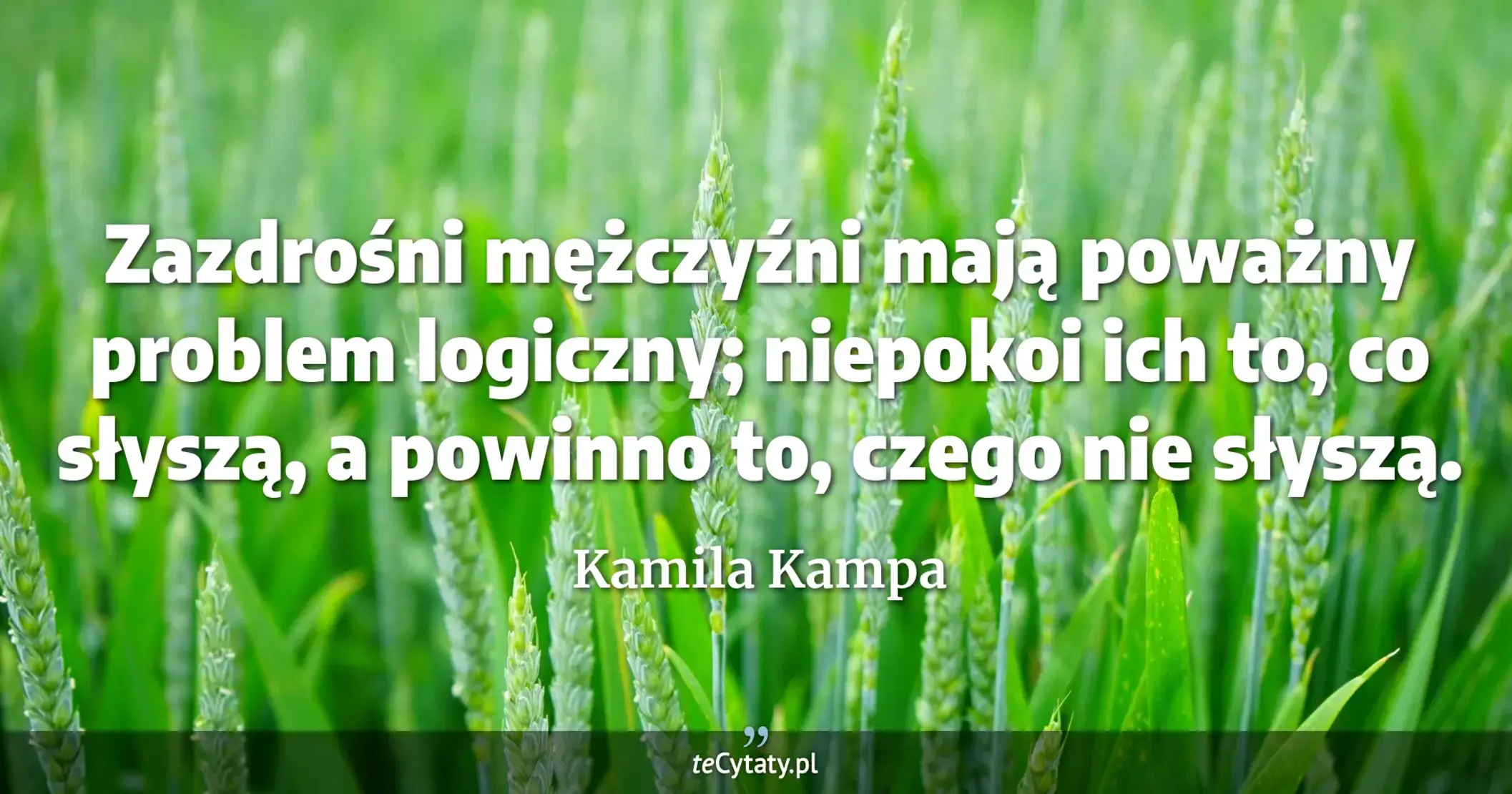 Zazdrośni mężczyźni mają poważny problem logiczny; niepokoi ich to, co słyszą, a powinno to, czego nie słyszą. - Kamila Kampa