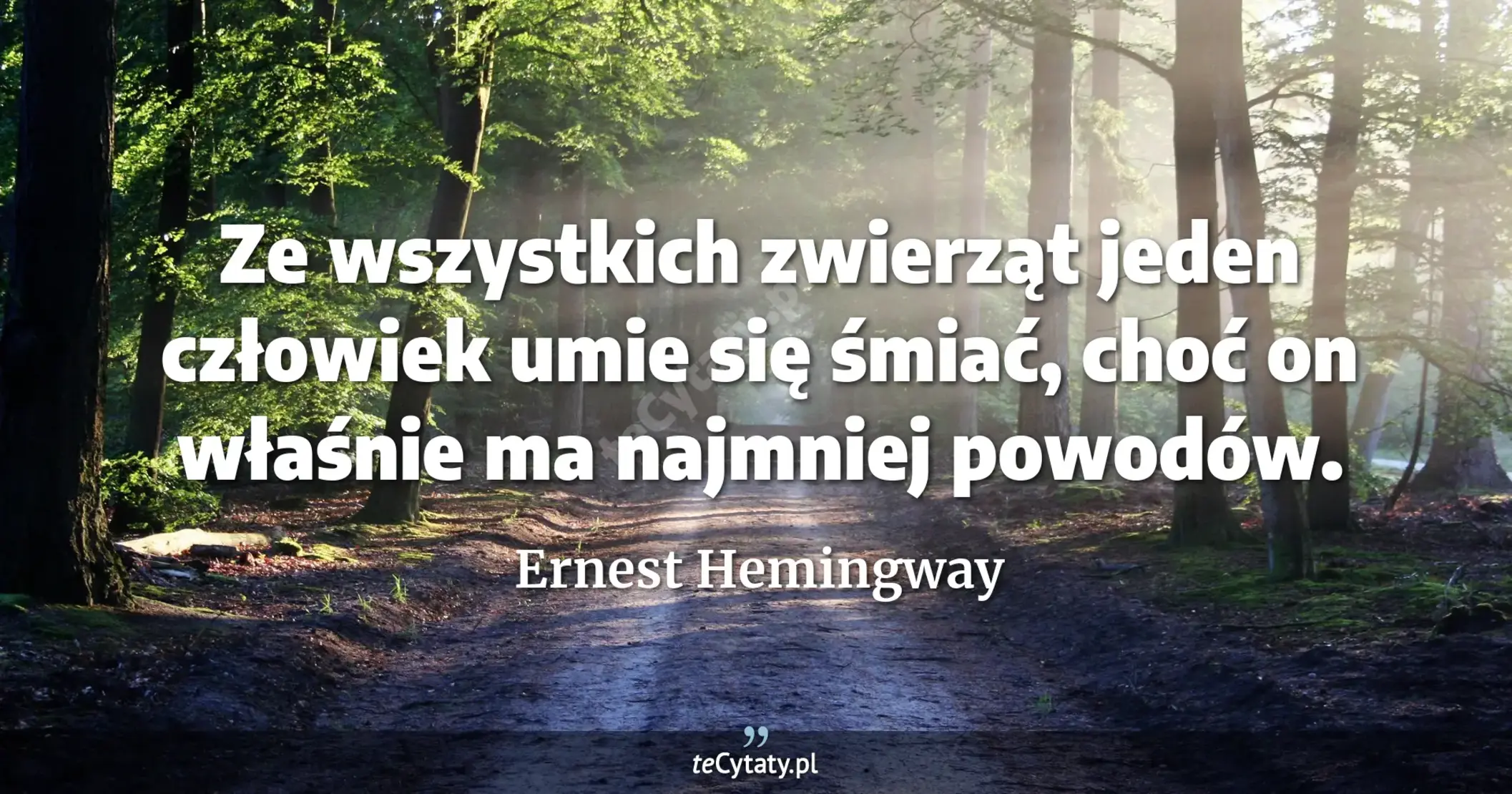 Ze wszystkich zwierząt jeden człowiek umie się śmiać, choć on właśnie ma najmniej powodów. - Ernest Hemingway